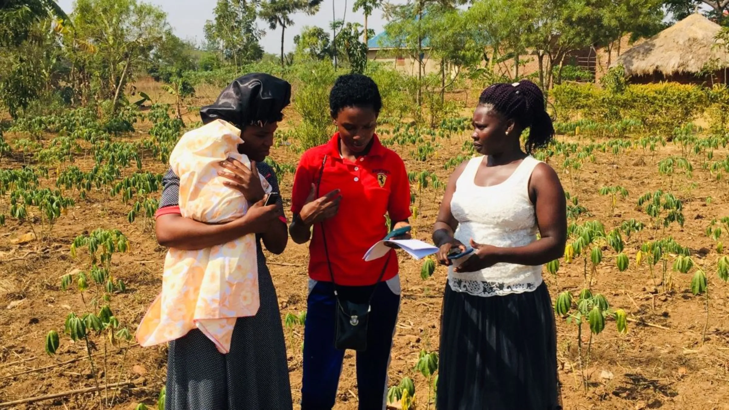 Farmers undergoing training to use digital tools to make timely interventions to protect their crops from climate change and crop diseases in Eastern Uganda, February 2023. BUAIIR and Papoli Community Development Foundation (PACODEF)/Handout via Thomson Reuters Foundation