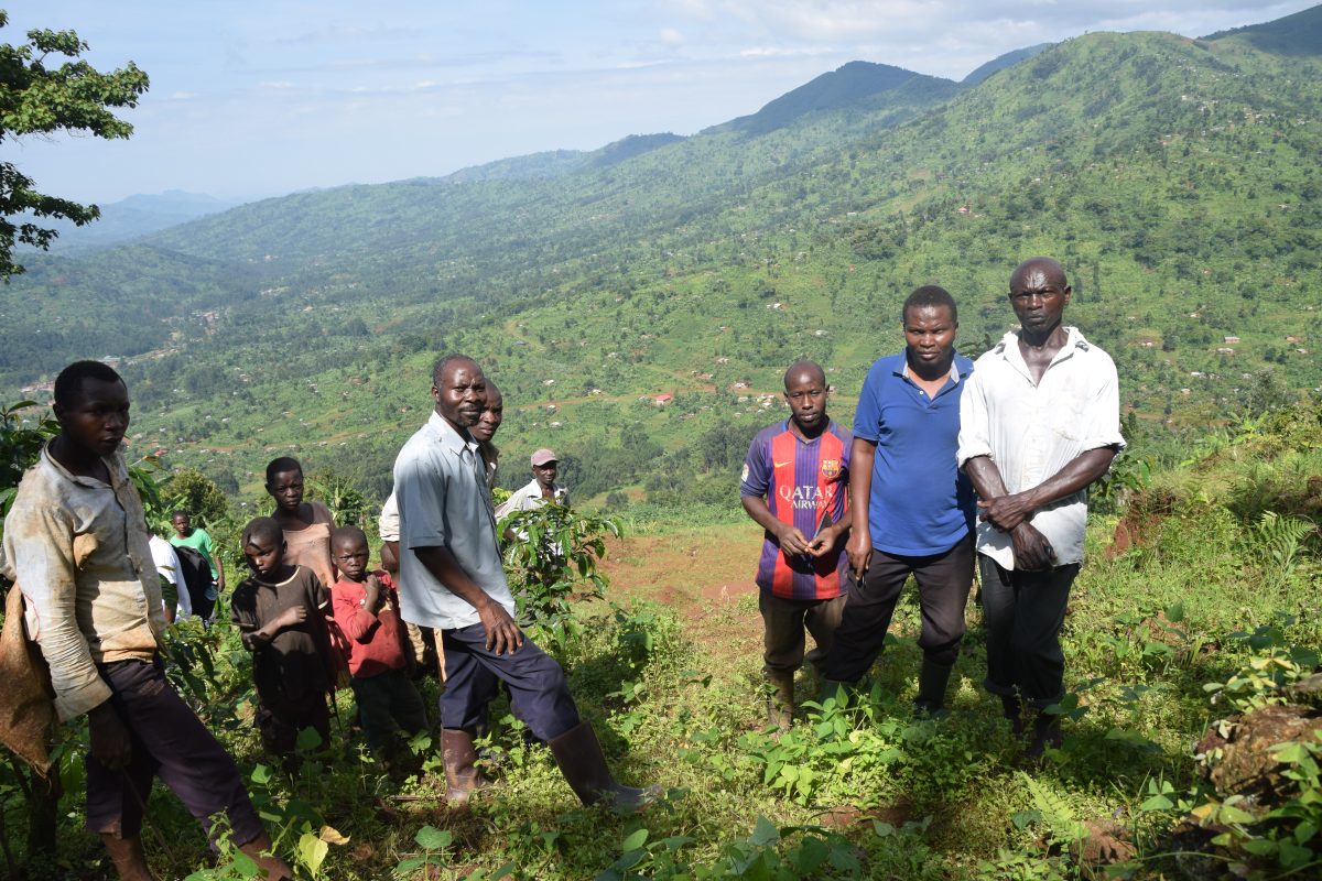 Men and children stand on a mountainside covered in green shubbery