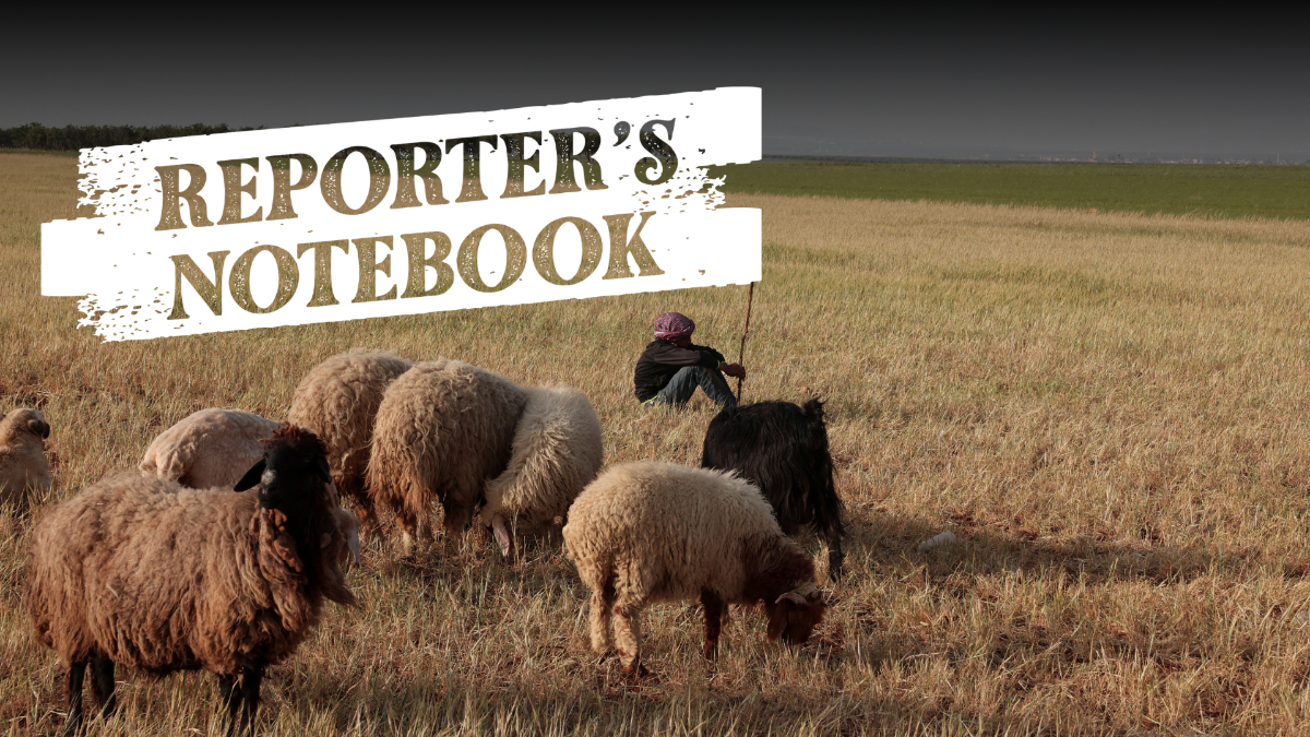 Reporter's Notebook: Echoes of Iraq in drought-stricken Syria