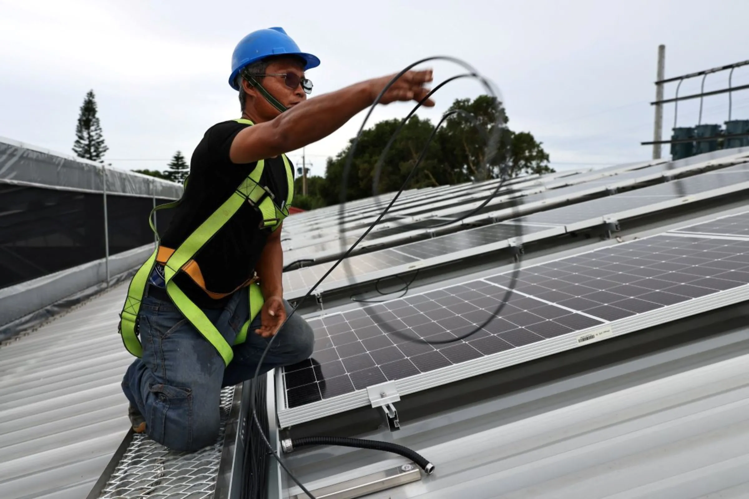 A worker organizes cables for the solar panels on top of the vanilla farm in Taoyuan, Taiwan, June 17, 2022