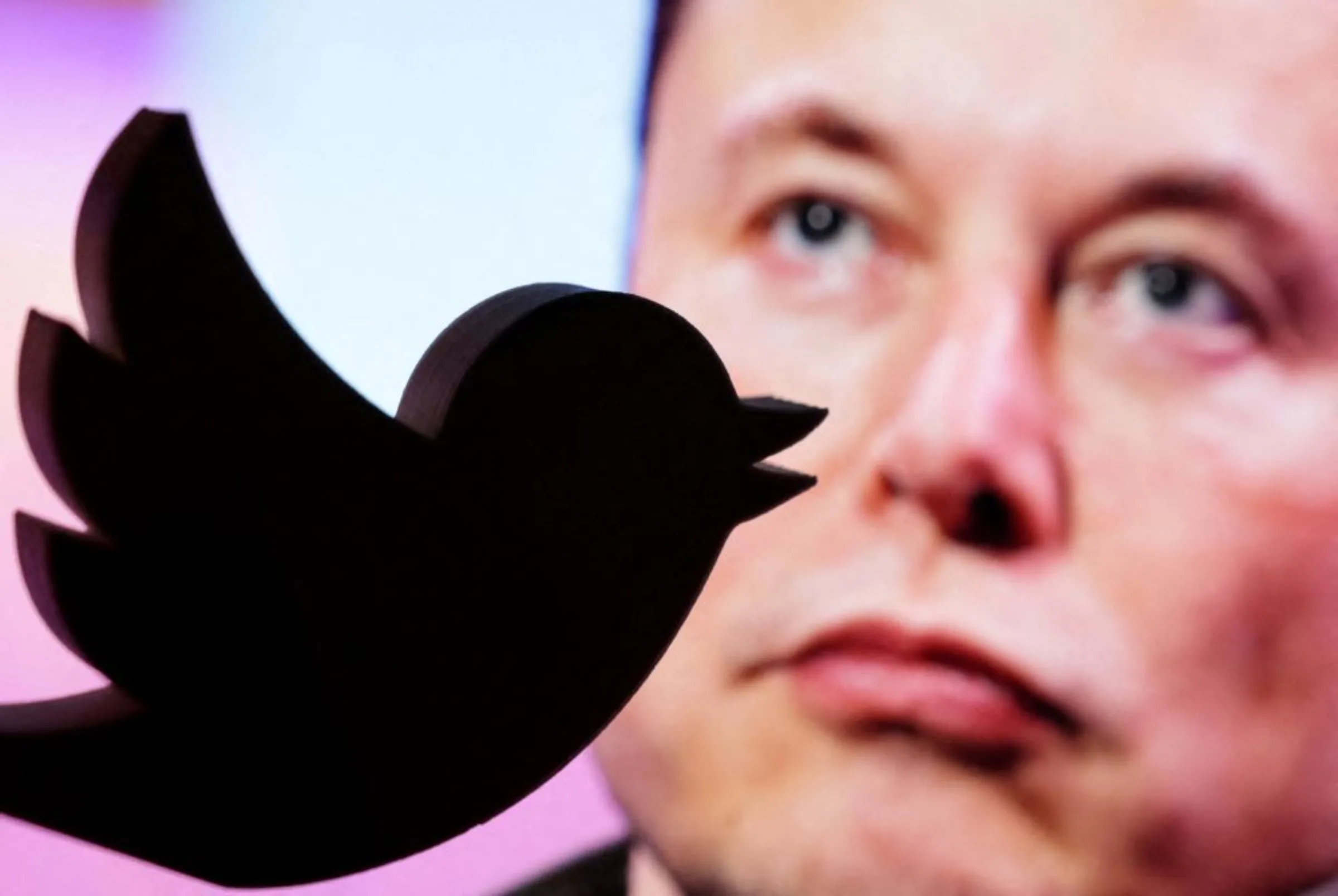 A 3D printed Twitter logo is seen in front of a displayed photo of Elon Musk in this illustration taken October 27, 2022. REUTERS/Dado Ruvic