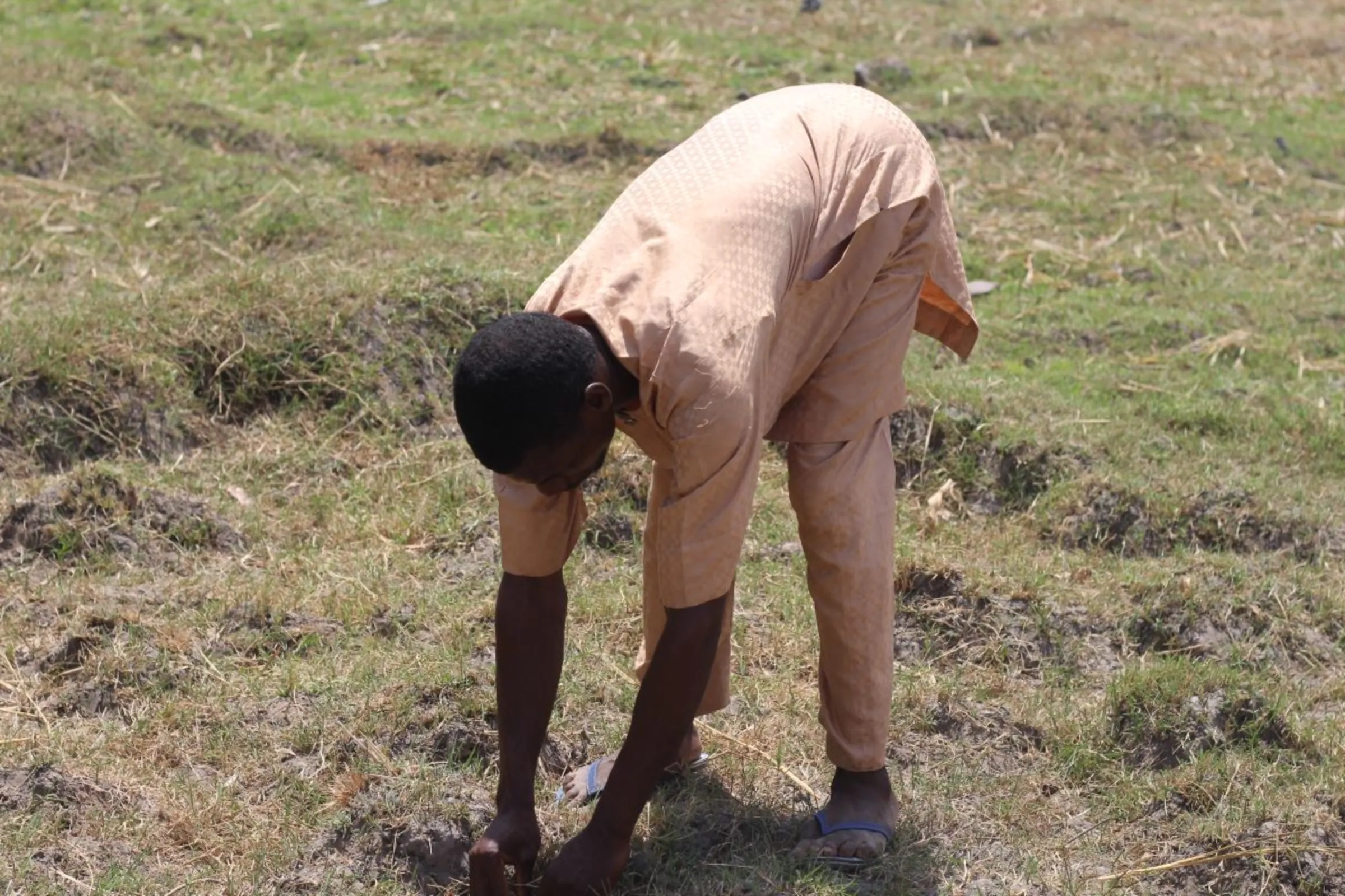 Usman Umar weeds out grass from his family rice farm in Emitowa, Niger, Nigeria on March 14, 2023. Bukola Adebayo/Thomson Reuters Foundation.