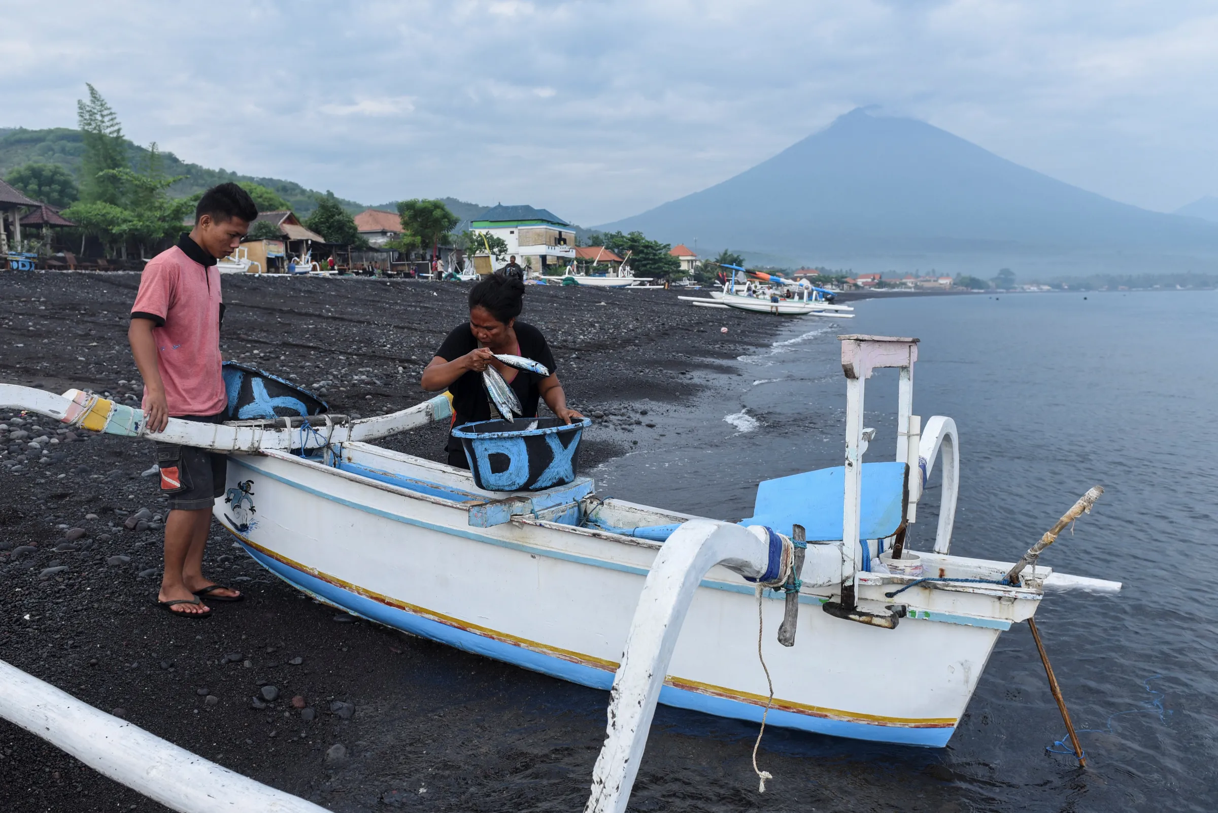 A woman collects fish from a fishing boat after it arrived on shore in Bali, Indonesia December 5, 2017. Antara Foto/Hafidz Mubarak A/via REUTERS