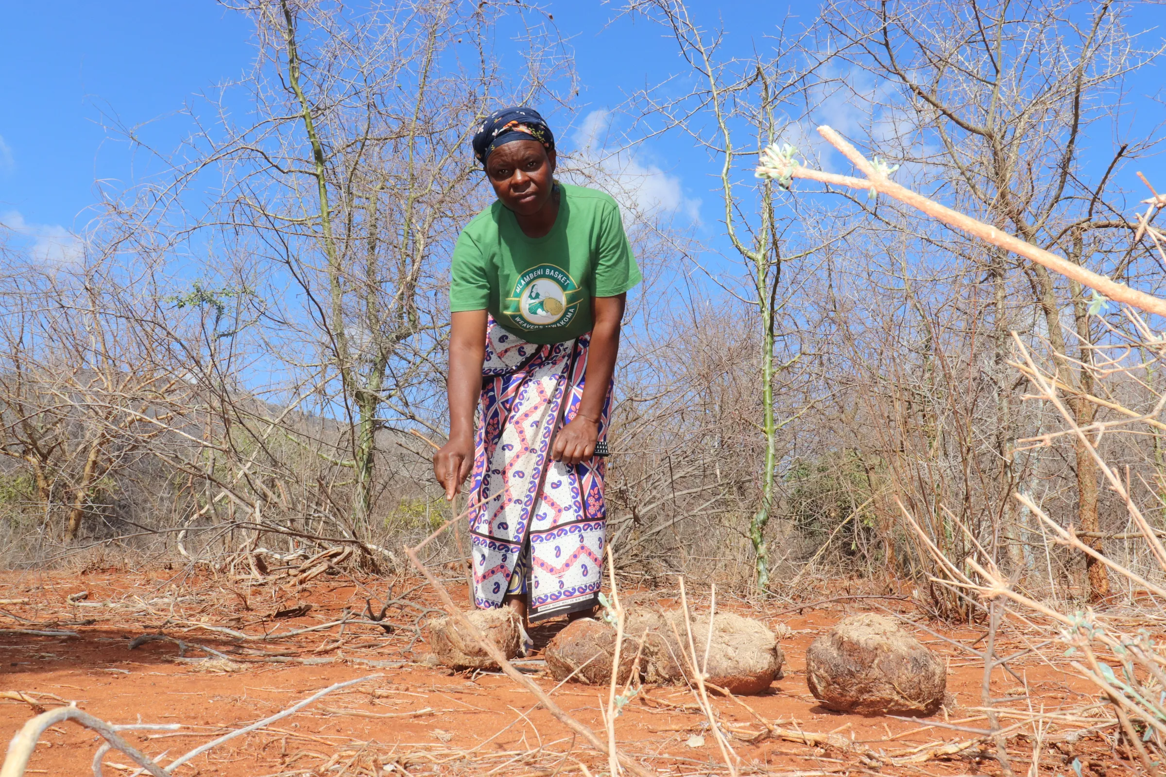 Farmer Josephine Kisero point to elephant dung as evidence that the animals have wandered out of the nearby national park and passed near her farm recently,  in Mwankoma village, southern Kenya, October 13, 2022. Thomson Reuters Foundation/Dominic Kirui