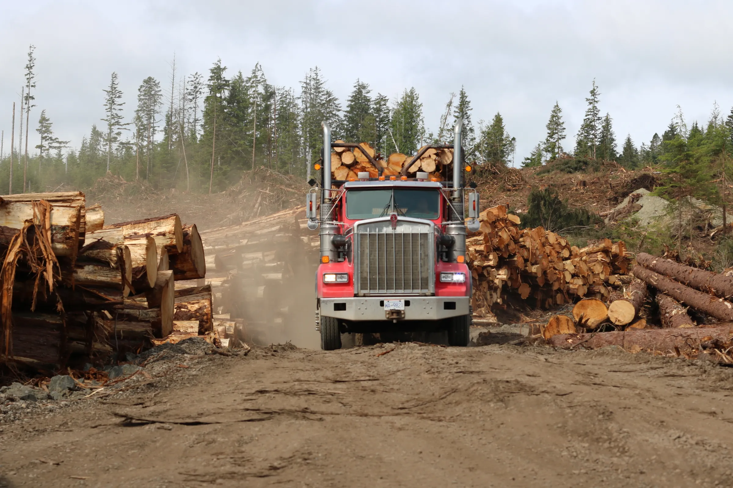 A logging truck transports second-growth sitka spruce logs for Haida-owned company Taan Forest, on Graham Island, Canada. July 24, 2024. Thomson Reuters Foundation/Jack Graham