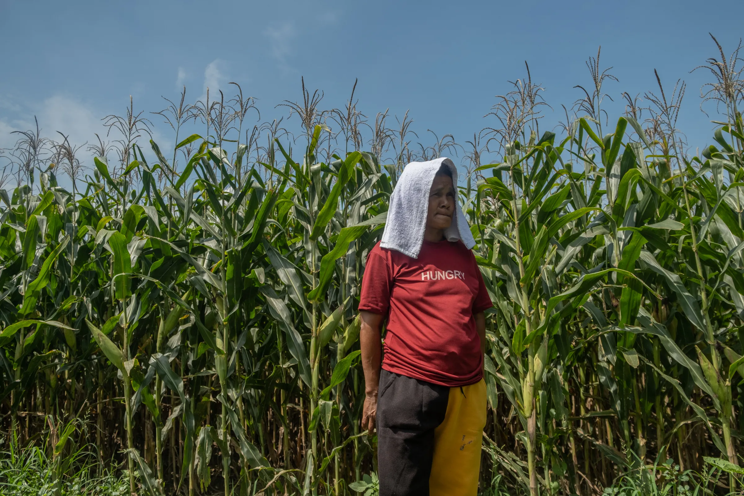 Farmer Merlita Gallardo stands in a field of corn, which she is growing to support her family after their onion crops were destroyed by armyworm, in Bayambang, Philippines, May 14, 2022