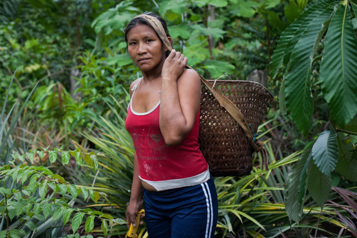 An indigenous woman is pictured carrying a basket supported with a strap over her head surrounded by the rainforest