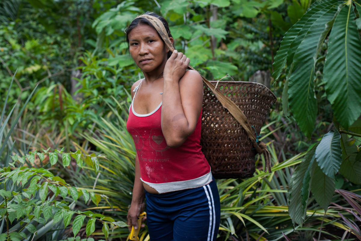 tribal women living in amazon jungles        
        <figure class=