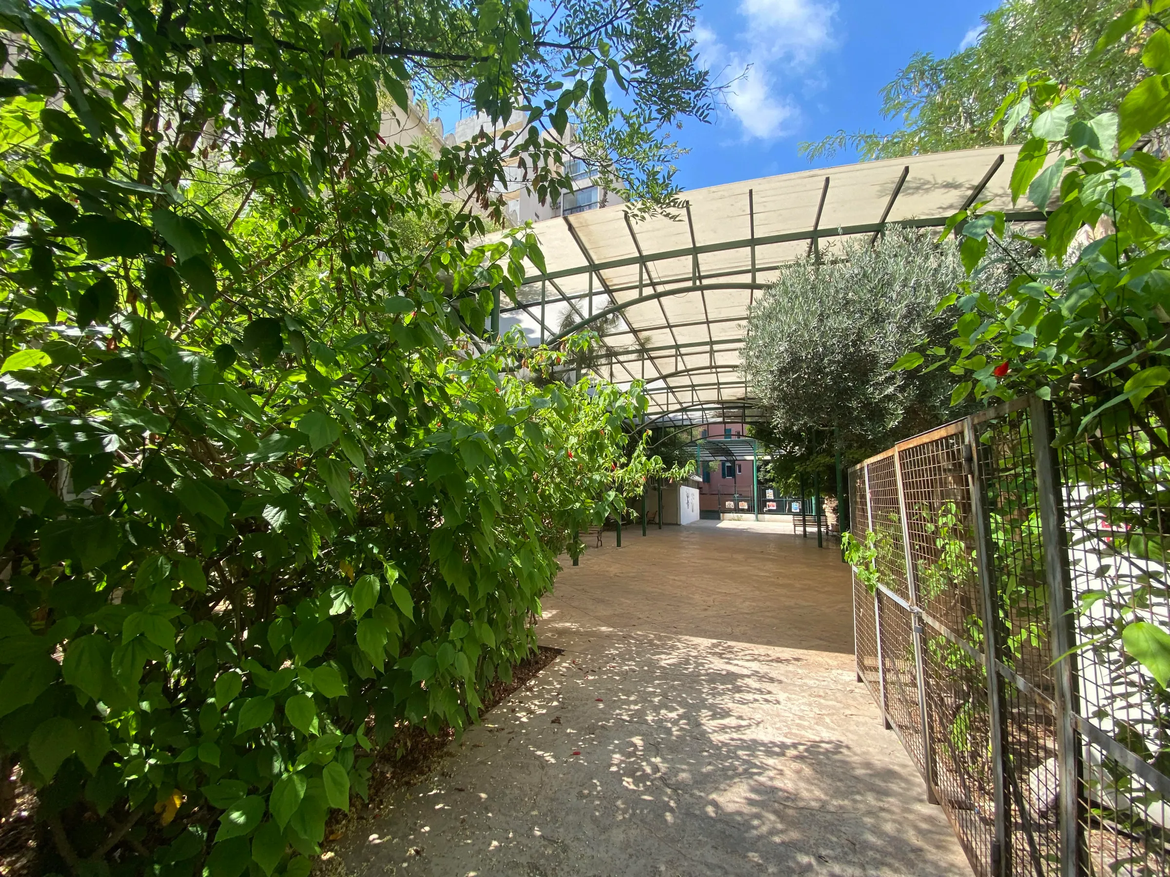 Al Makassed High school in Beirut, Lebanon