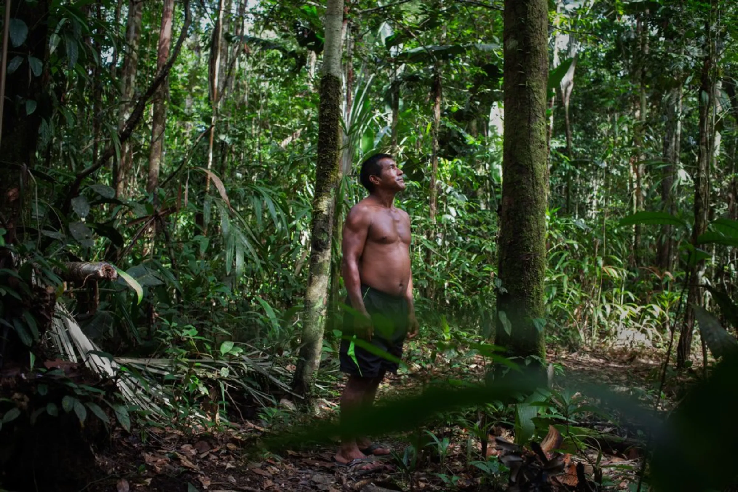 The Rainforests of Colombia