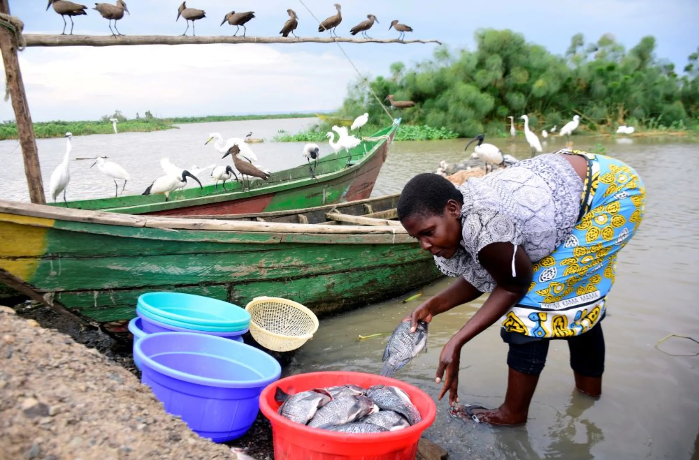 A fishmonger, prepares fish at Dunga beach on the shores of Lake Victoria in Kisumu, Kenya March 18, 2020