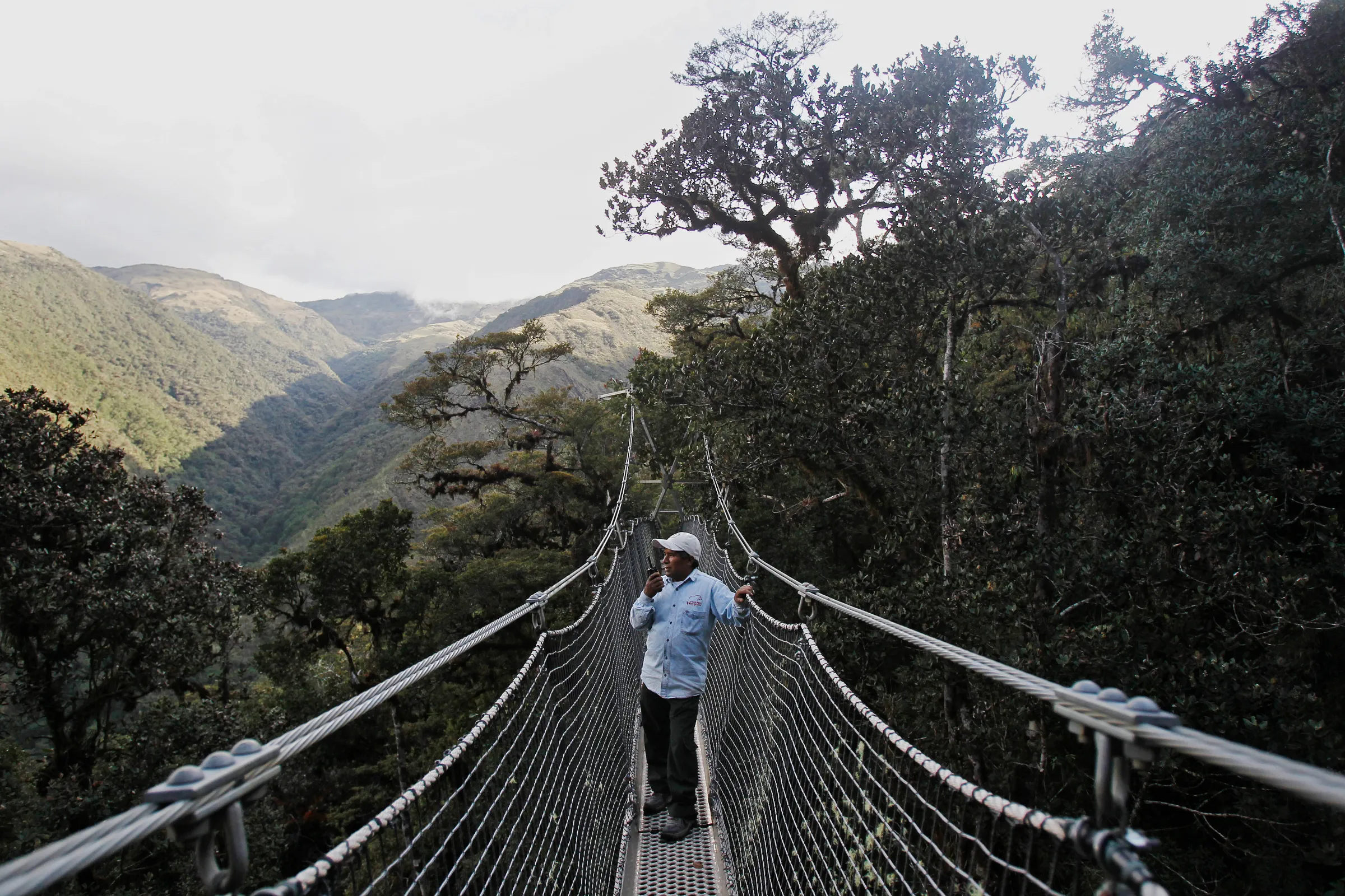 A man looks out at the cloud forest standing atop a canopy at the buffer zone of Manu National Park in front of Huayquecha Biological Station near Paucartambo, Cusco December 5, 2014