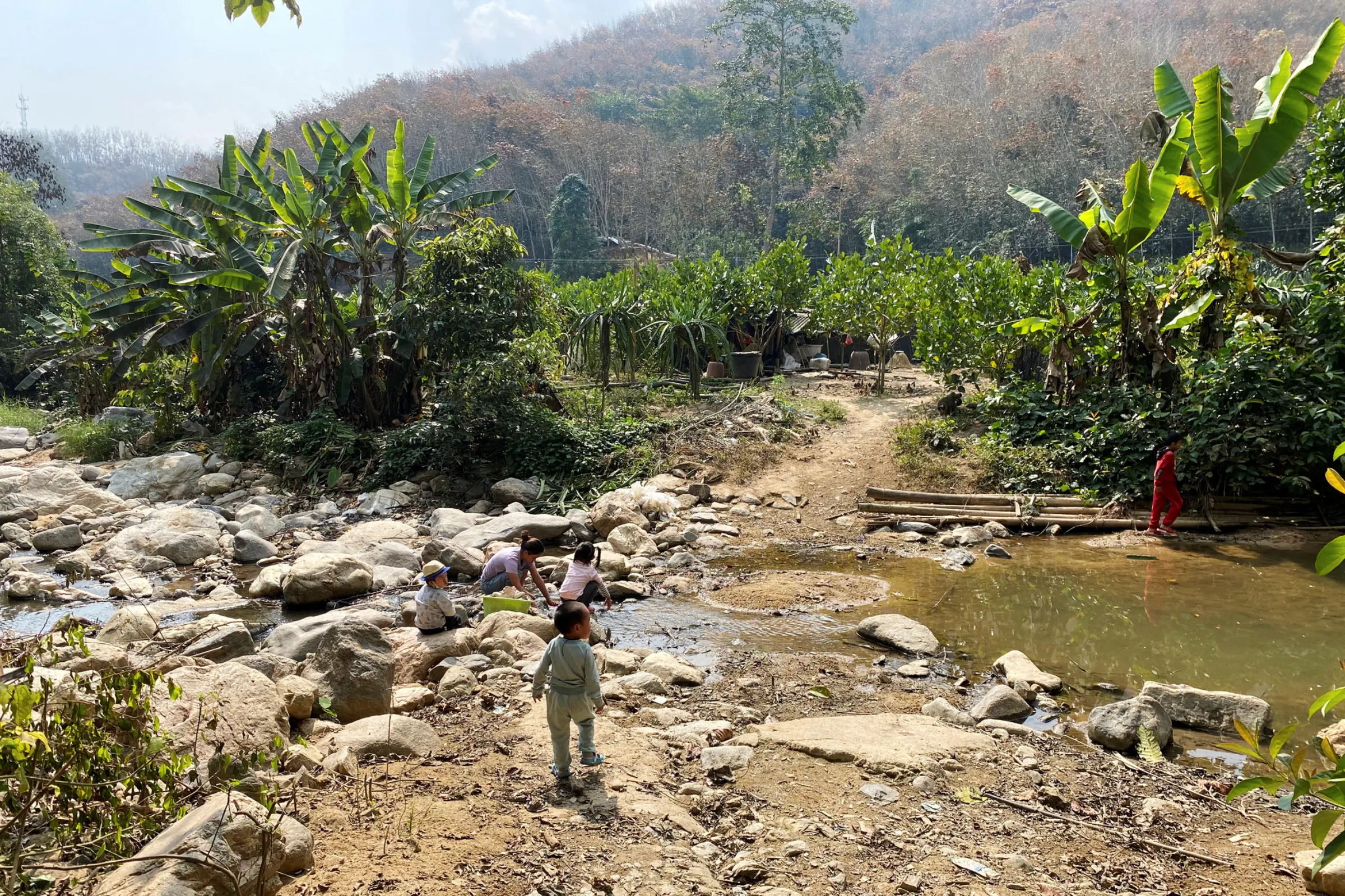 A child walks towards a nature protection zone at Mandian village in Xishuangbanna Dai Autonomous Prefecture, Yunnan province, China, January 29, 2021