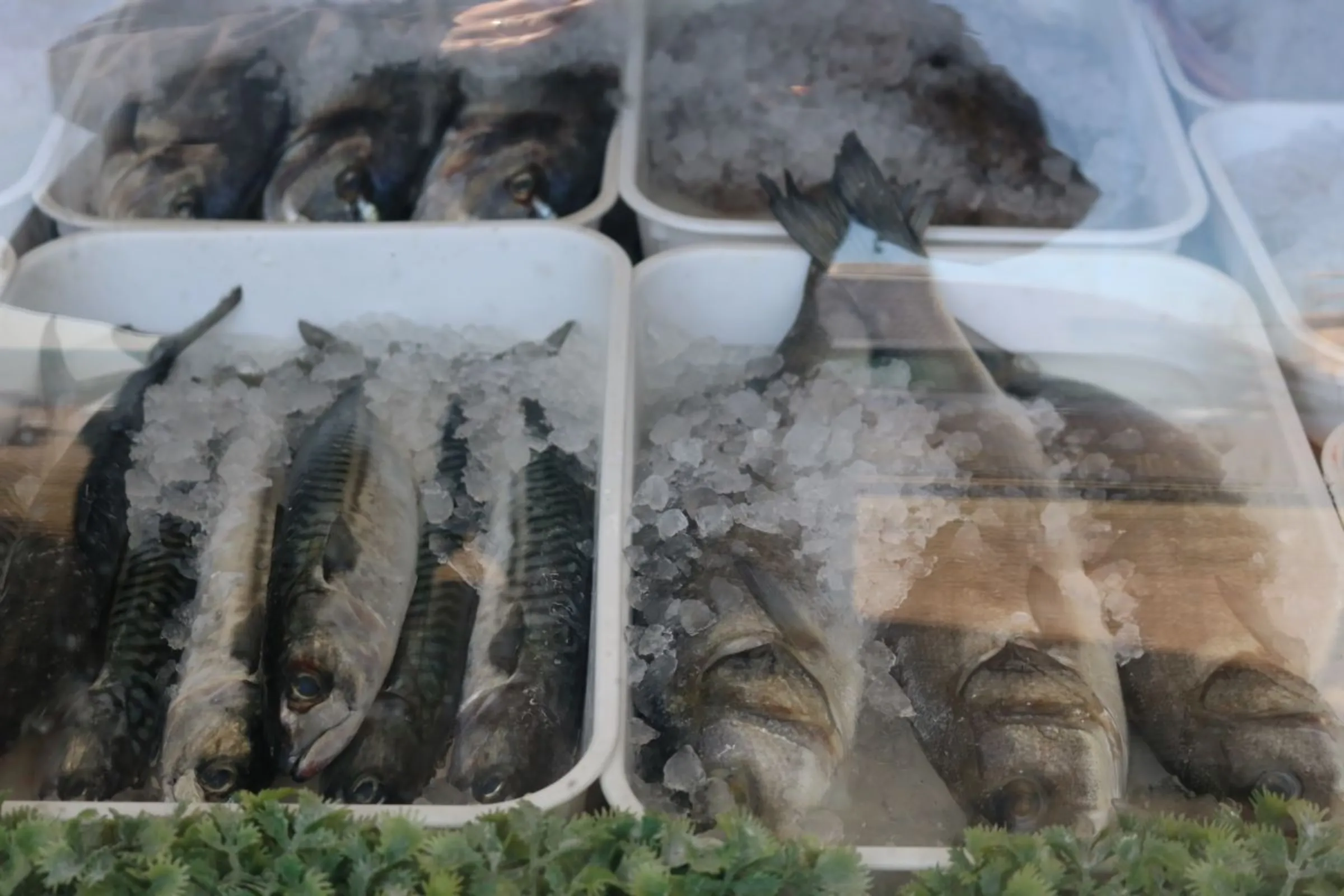 Fish sold at the top of the beach by Beer Fisheries Ltd in east Devon, Britain, April 4, 2023. Thomson Reuters Foundation/Jack Graham