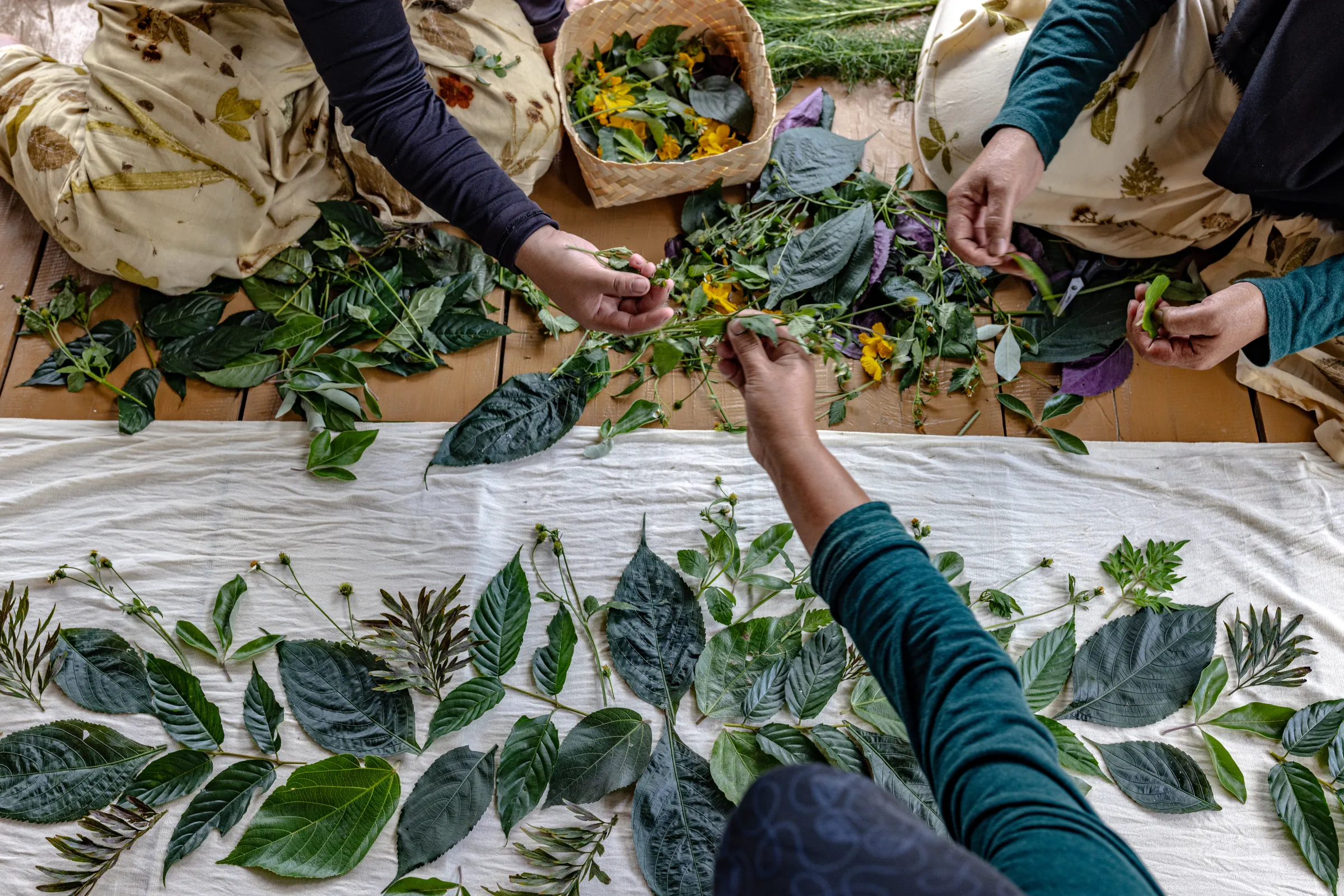 Members of the Ambu Halimun community arrange leaves and flowers according to the desired pattern during the ecoprinting process in Citalahab Central, West Java, Indonesia, on July 16, 2025. Thomson Reuters Foundation/Yudha Baskoro