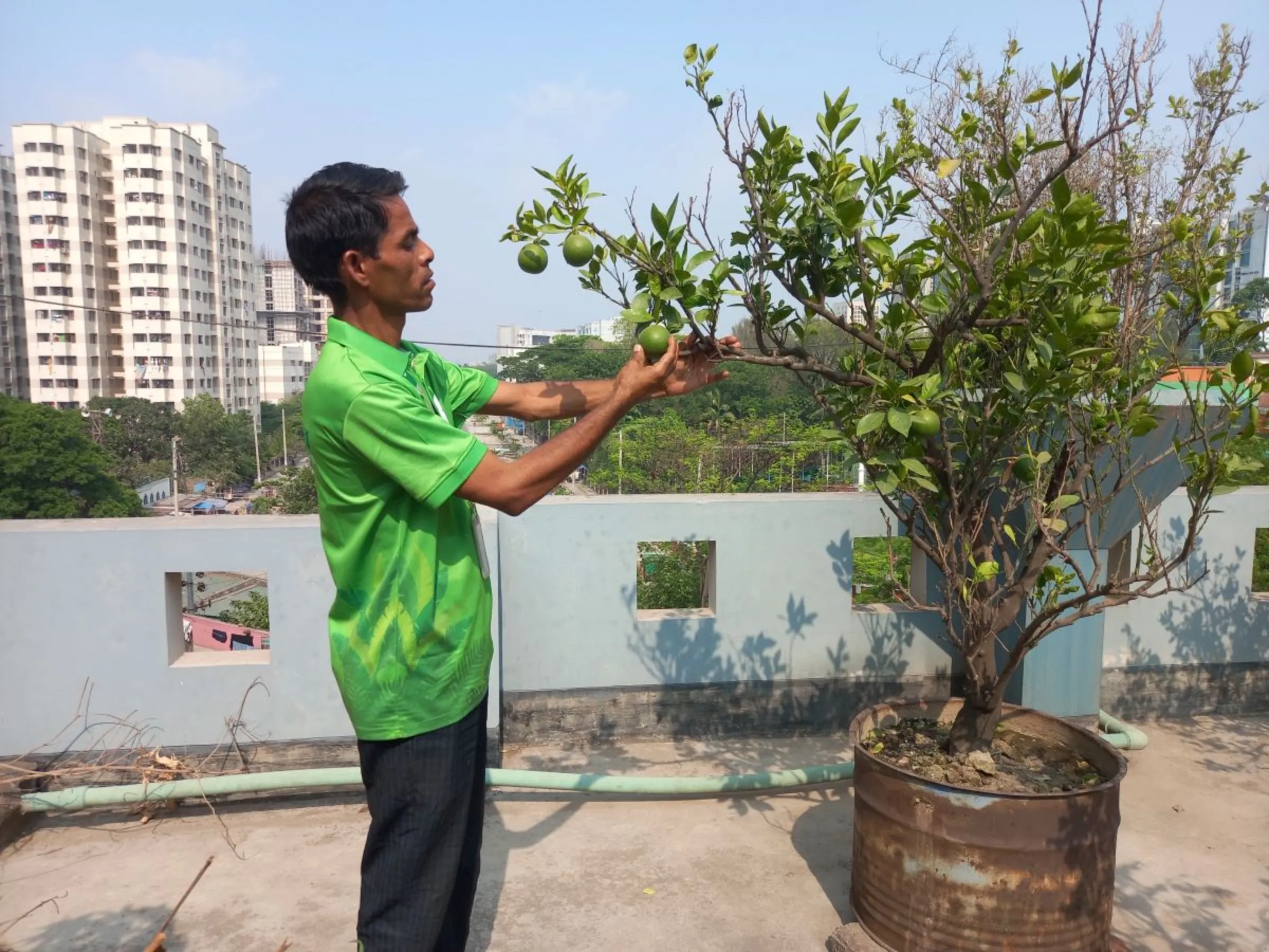 Md Dulal Miya, 35, a 'plant doctor' with urban greening initiative Green Savers attends to a rooftop garden at a client's office in Dhaka, April 20, 2023. Thomson Reuters Foundation/ Md Tahmid Zami