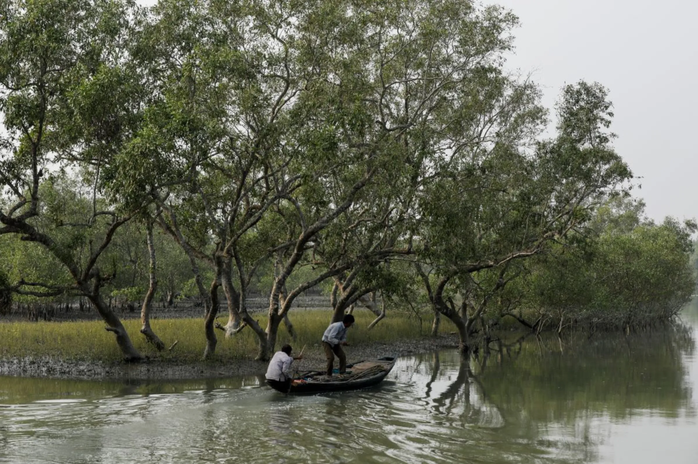 Men on a boat row past mangrove trees encircling the island of Satjelia in the Sundarbans, India, December 15, 2019. REUTERS/Anushree Fadnavis