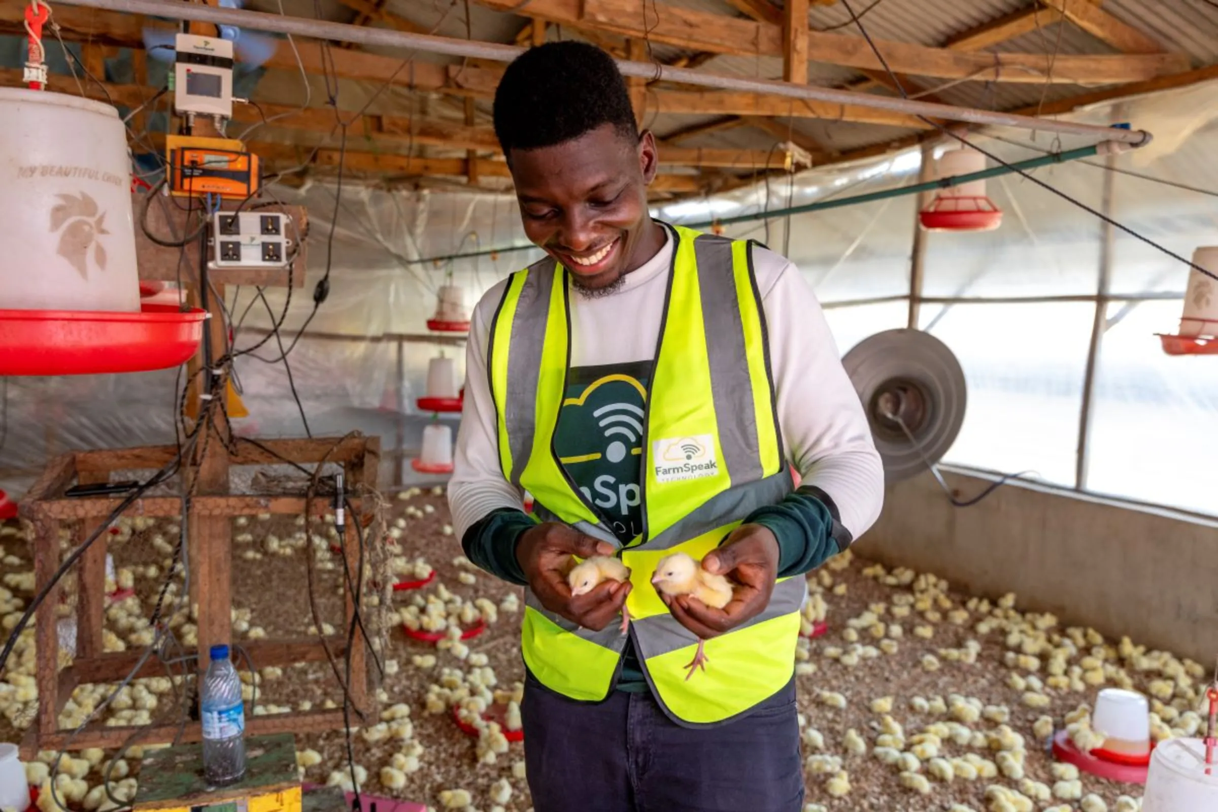 Peter Okonmah, the CEO of Farmspeak picks up chickens at Kaybol Farm in Simawa, Ogun state, Nigeria on November 13, 2023. Royal Academy of Engineering 2024/Handout via Thomson Reuters Foundation