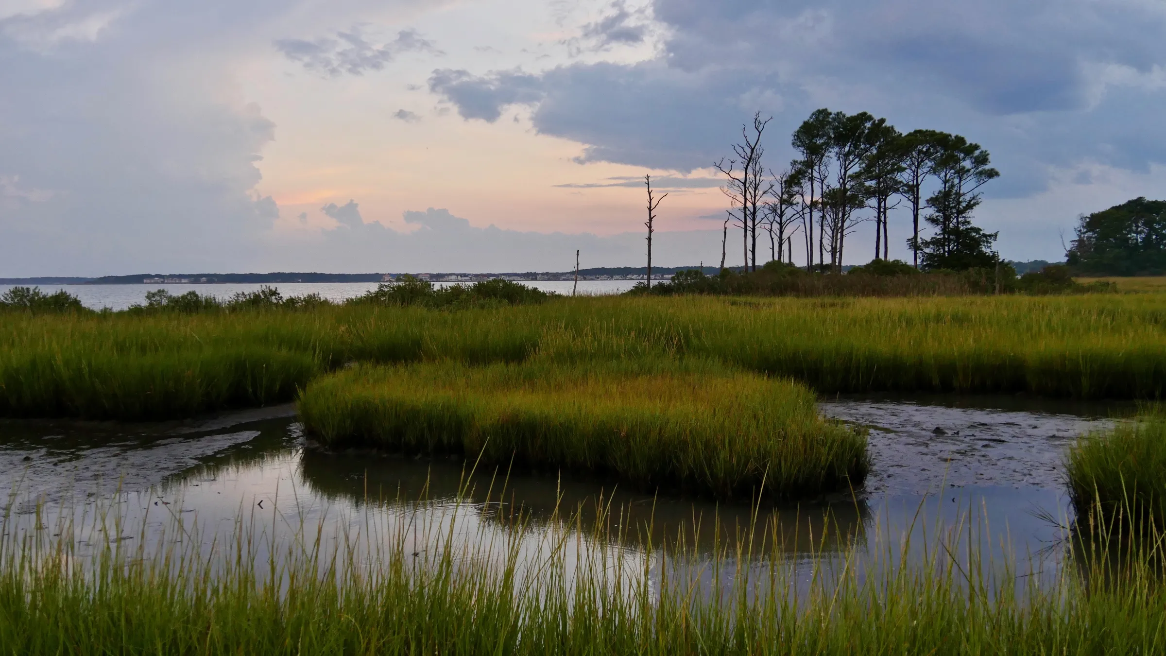 A salt marsh near Ocean City, Maryland, in 2019. Matt Kane at The Nature Conservancy/Handout via Thomson Reuters Foundation