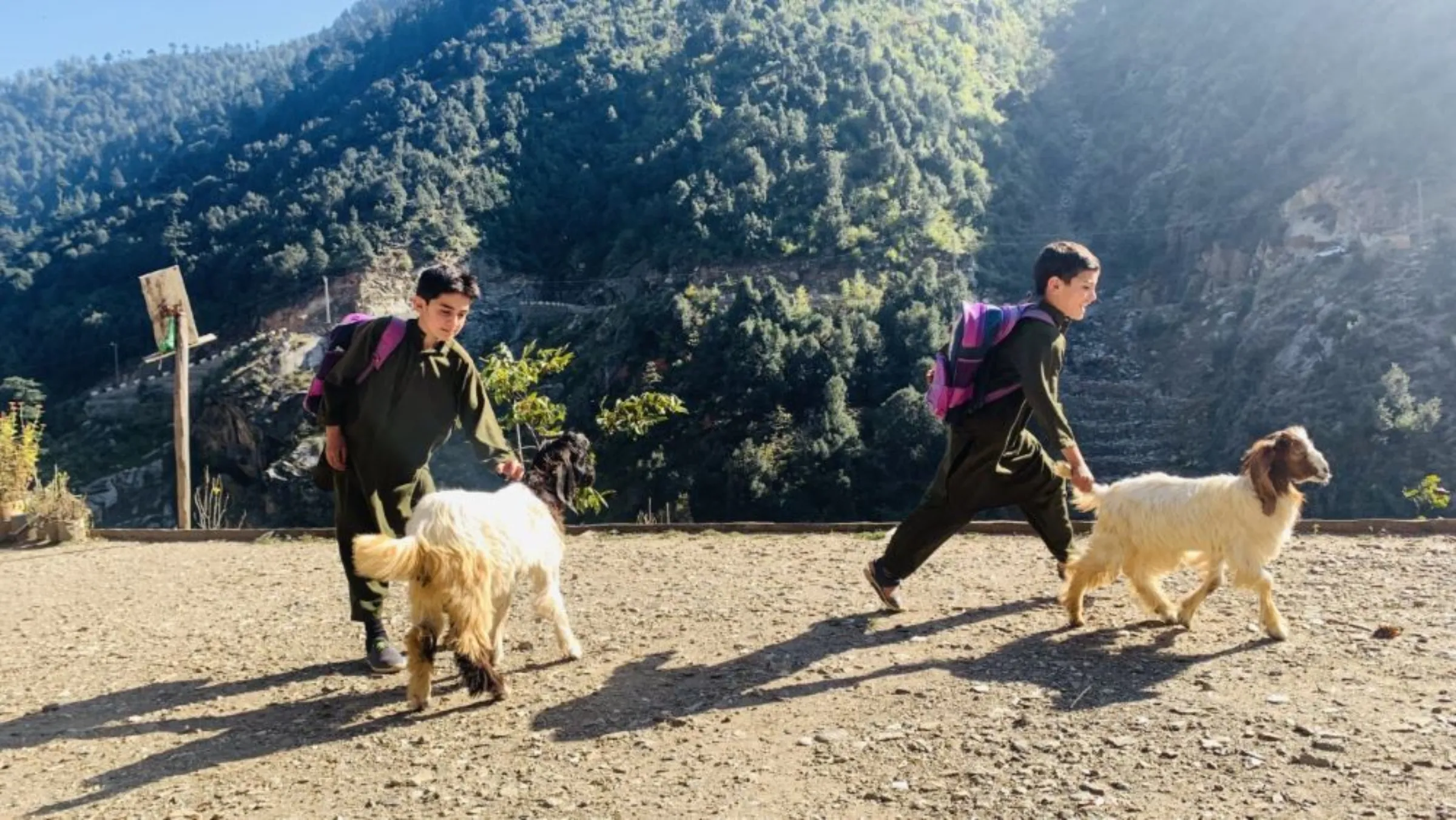 Two siblings play with goats in the yard of their house after school in Lagan Khar, a village in Swat district in Pakistan’s northwest Khyber Pakhtunkhwa province, October 24, 2022