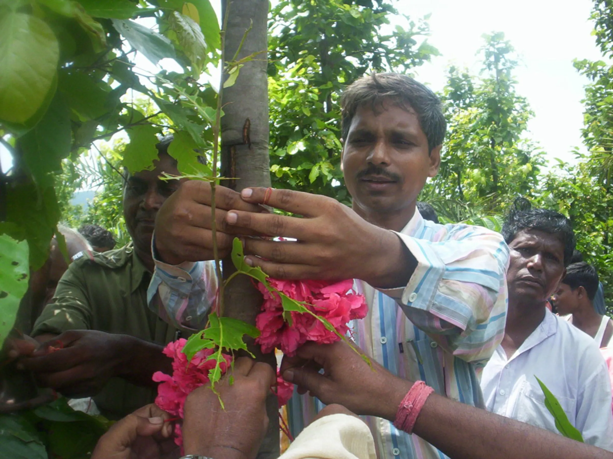 Senior forest officer Sanjeev Kumar ties a decorated thread called a rakhi around a tree in a pledge to protect the forest in Lukaiya, India, Aug. 5, 2008. Thomson Reuters Foundation / Sanjeev Kumar