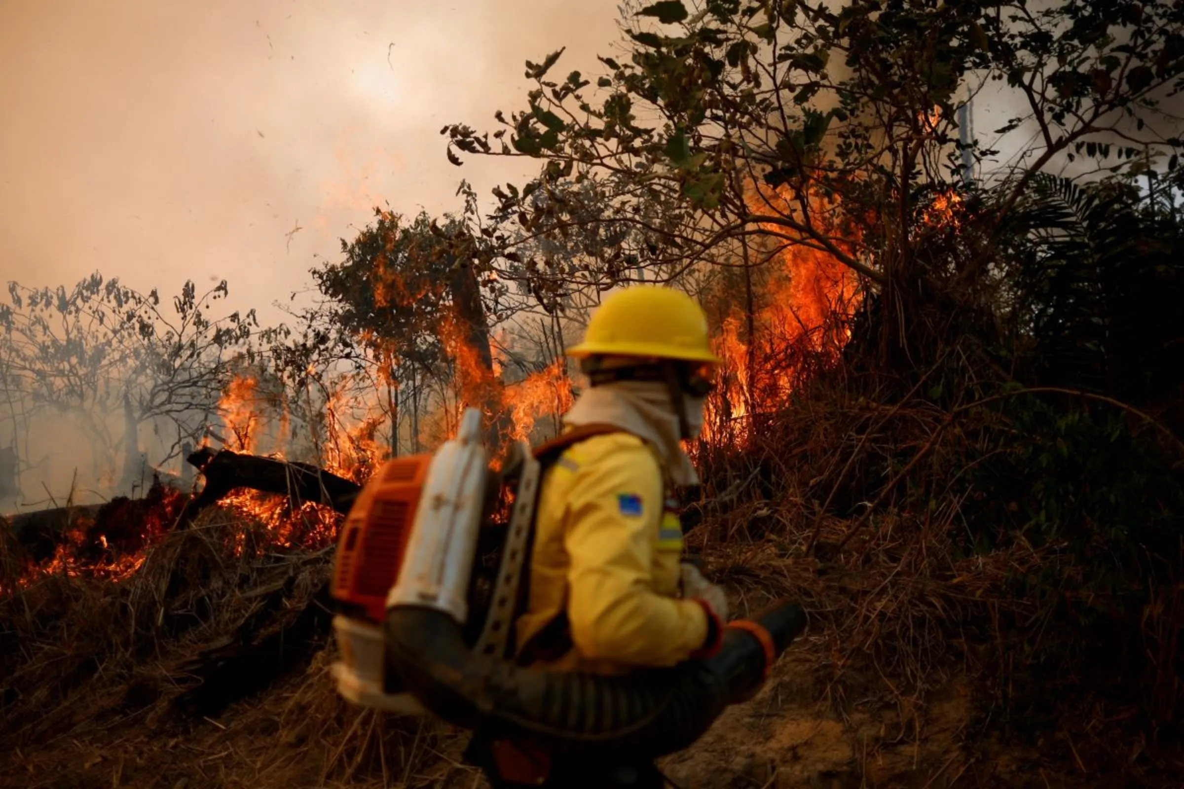 A member of Brazilian Institute for the Environment and Renewable Natural Resources (IBAMA) fire brigade works to extinguish a fire rising in Amazon rainforest in Apui, Amazonas state, Brazil, August 8, 2024. REUTERS/Adriano Machado