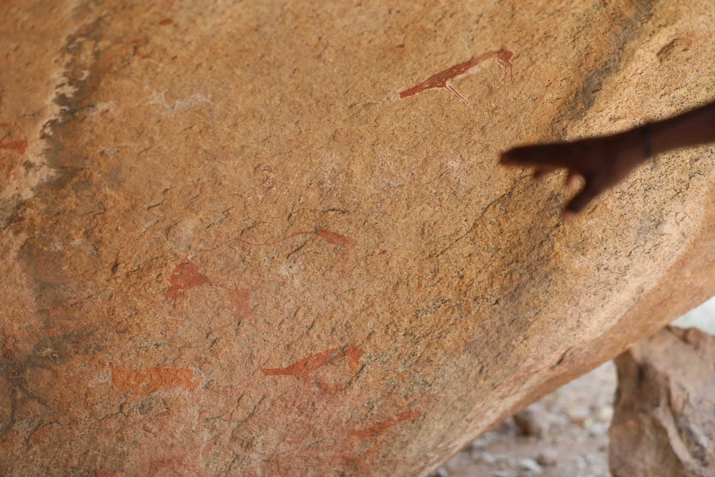 Rock art guide Tertius Oeamseb points to rock art inside the Brandberg mountain in western Namibia, September 28, 2022