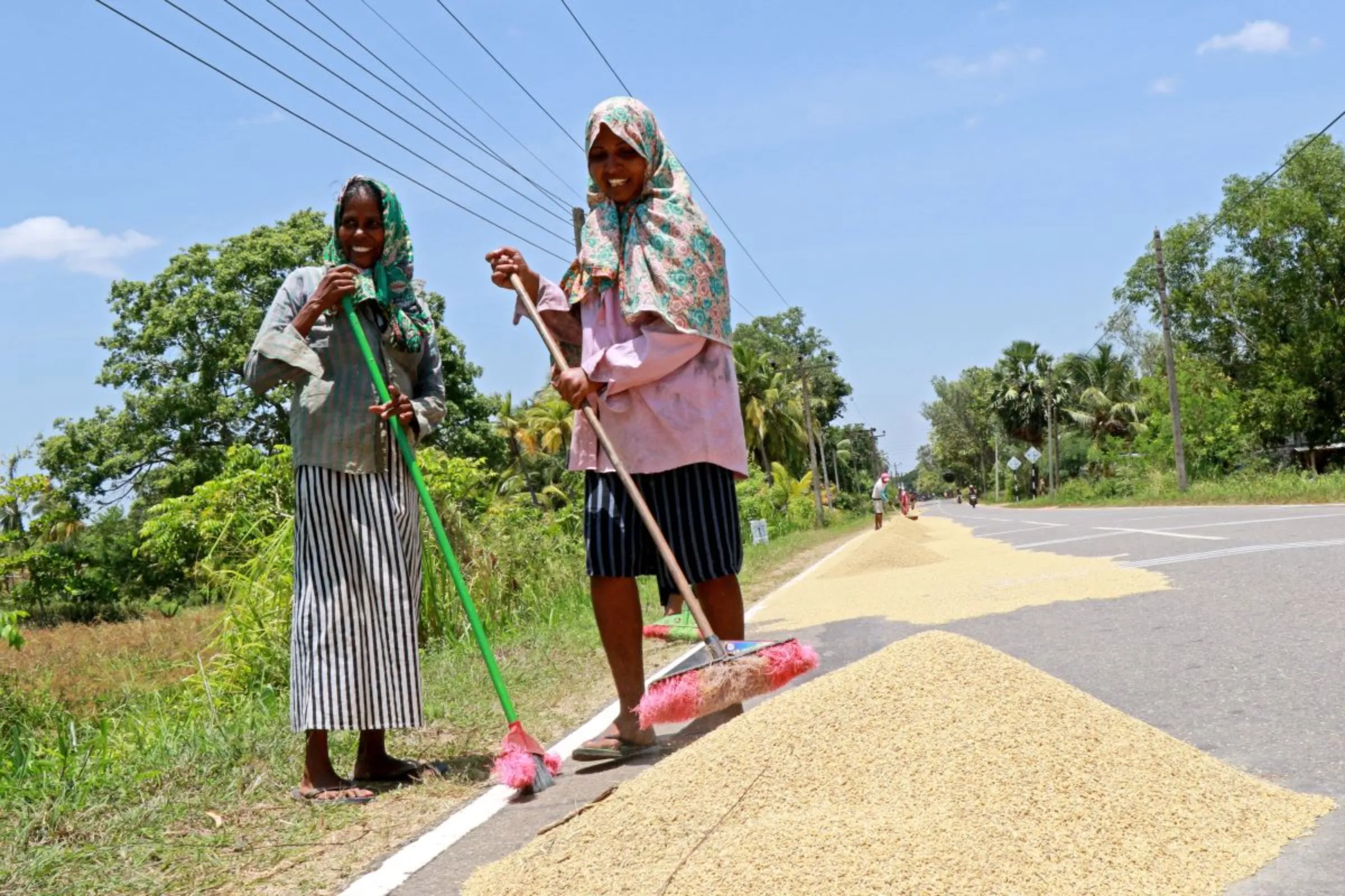 Villagers drying paddy (rice) on the road leading to Weli Oya from Padaviya in North Central Province, Sri Lanka. August 2023. Thomson Reuters Foundation/Ranga Udugama