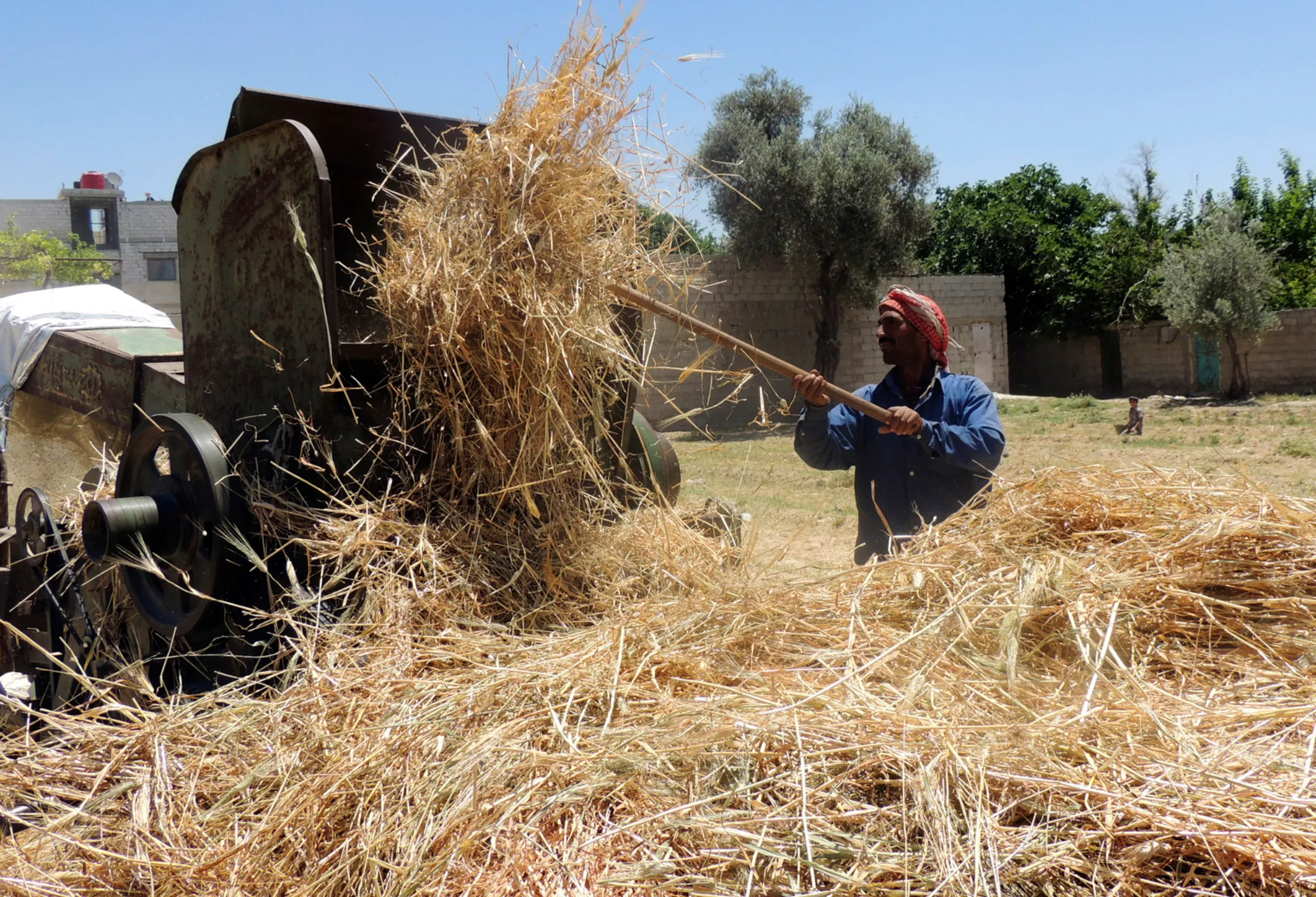 A farmer uses a threshing machine as he harvests wheat crop in Arbeen, in the eastern Damascus suburb of Ghouta June 1, 2014. REUTERS/Diaa Al-Din