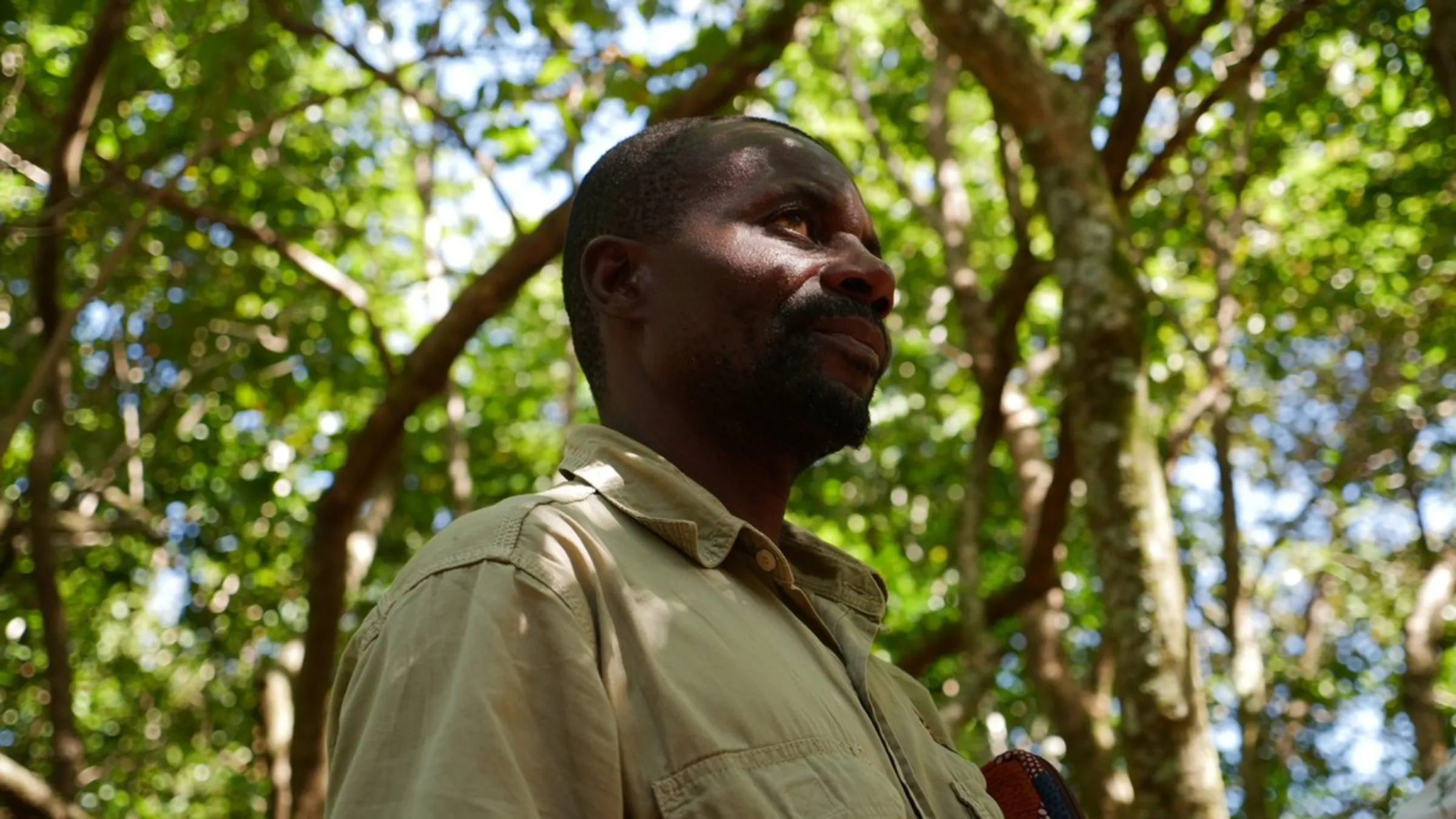 Julius Samuel, who helps lead a coffee-growing project on Mount Gorongosa, Mozambique, stands beneath indigenous trees growing over the tree nursery on the mountain, May 26, 2022