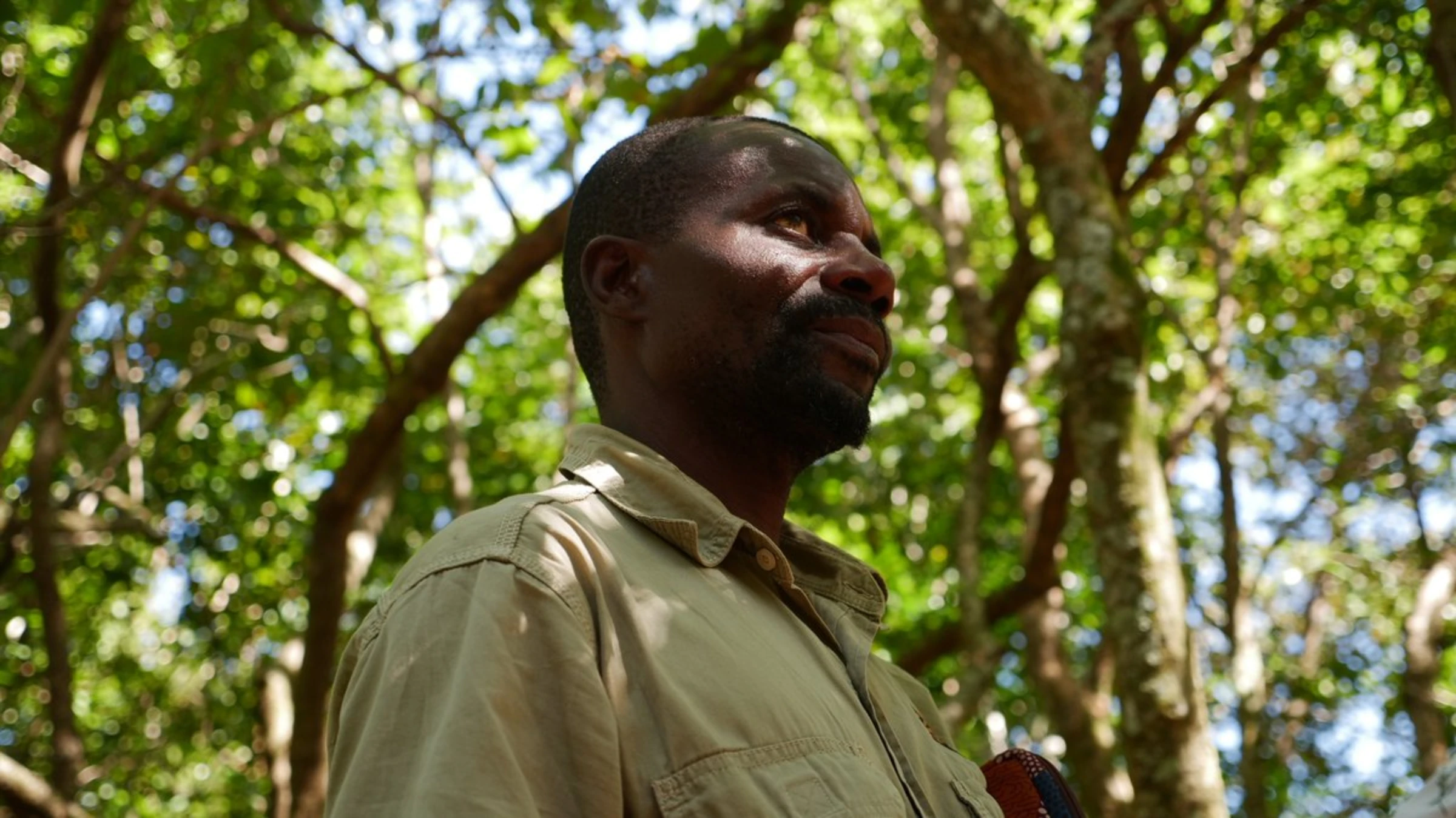 Julius Samuel, who helps lead a coffee-growing project on Mount Gorongosa, Mozambique, stands beneath indigenous trees growing over the tree nursery on the mountain, May 26, 2022