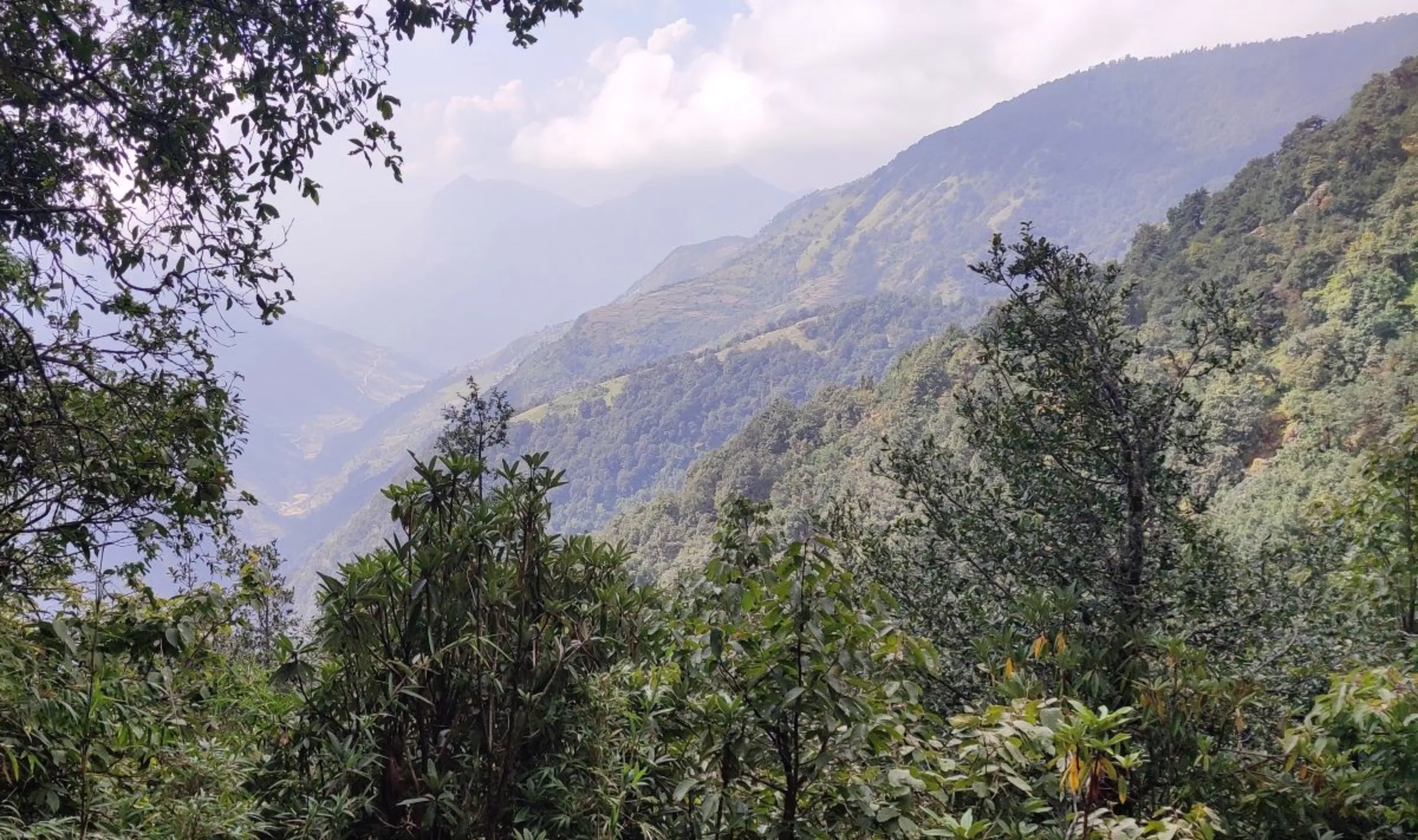 Nepal’s mid-hill forest at Doti district western part of Nepal. October 6, 2020