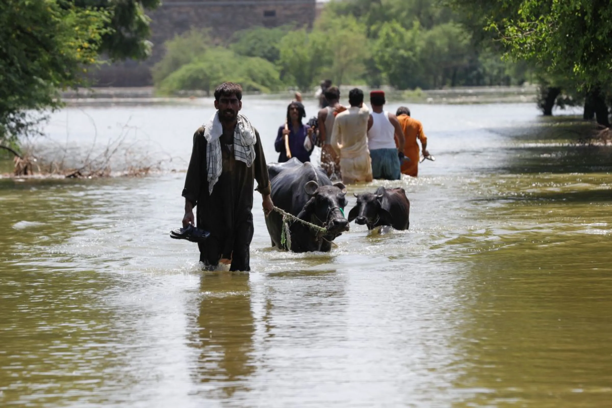 A man pulls his animals while others go to salvage their belongings amid rising flood water, following rains and floods during the monsoon season on the outskirts of Bhan Syedabad, Pakistan September 8, 2022. REUTERS/Akhtar Soomro