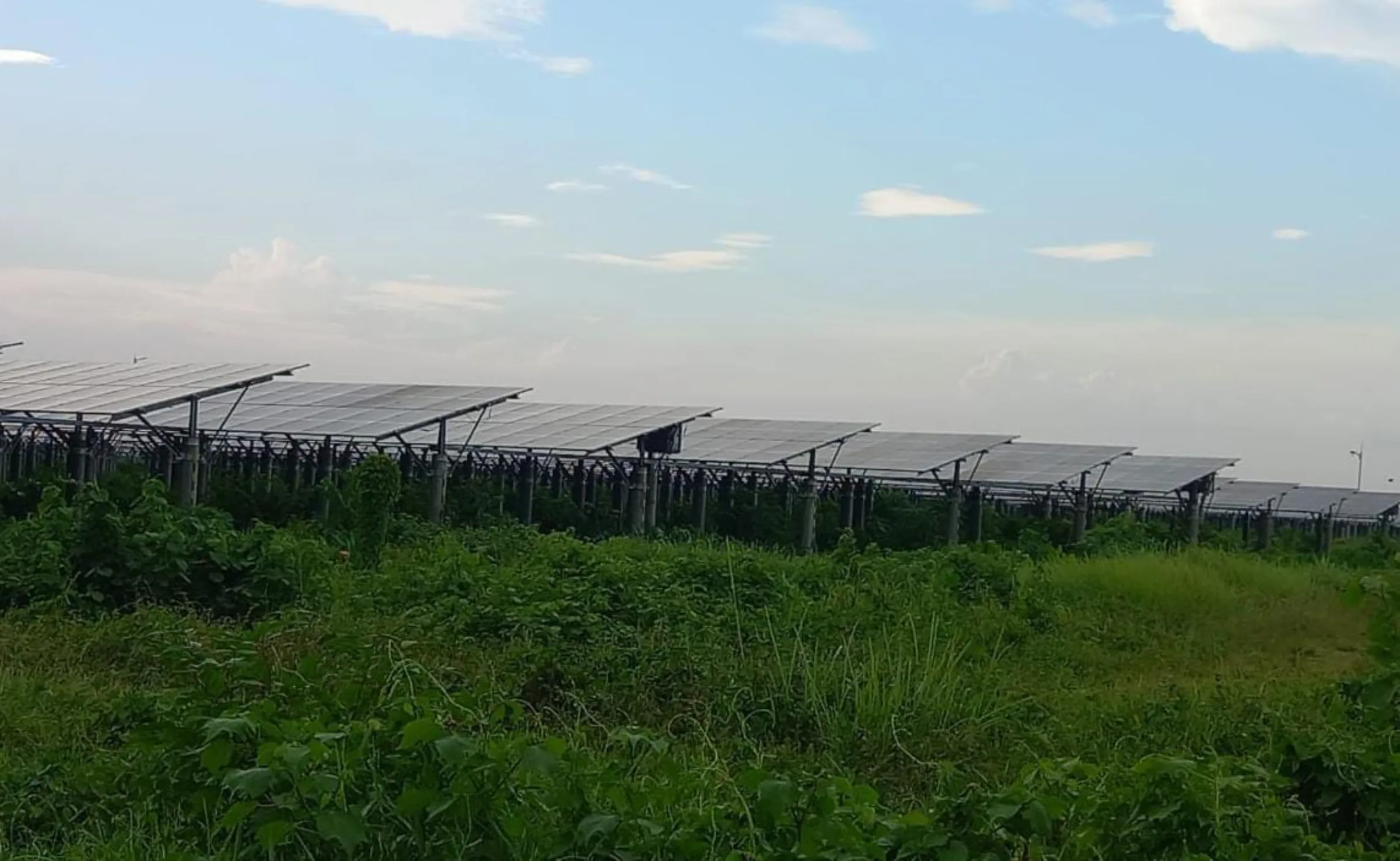 Ground mounted solar panels face the sun