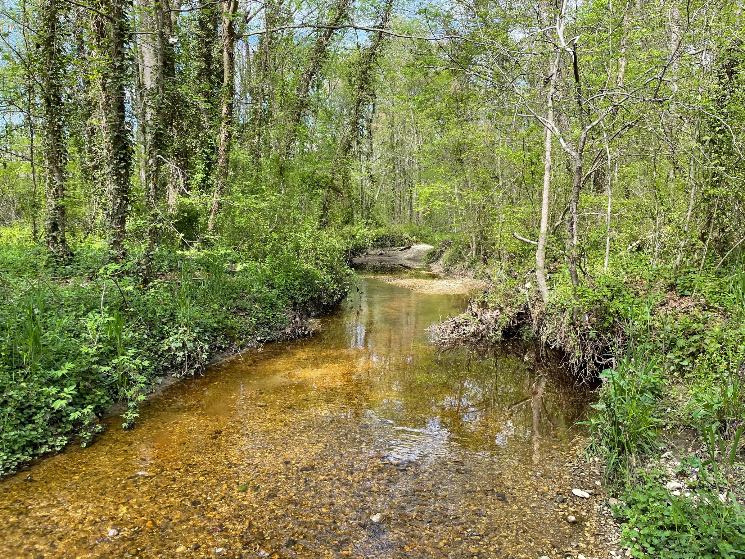 A creek cuts through a 13-acre property in August 2020 that is now being converted into a public park in the Southside area of Richmond, Virginia. Parker C. Agelasto/Handout via Thomson Reuters Foundation