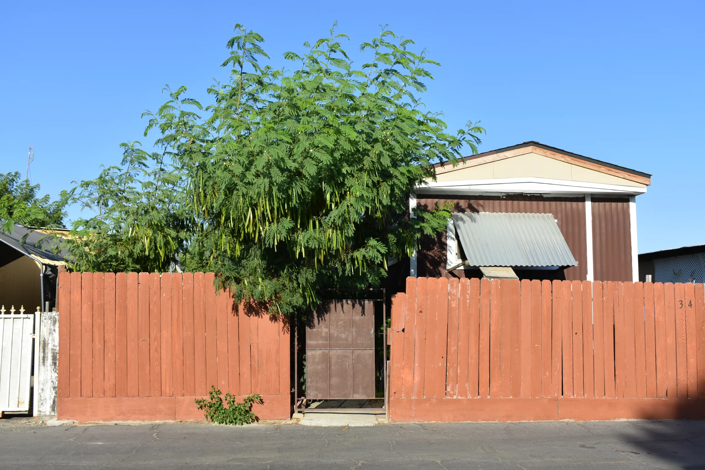 An old-model manufactured home made of corrugated metal catches the intense afternoon sun on Fresno, California, U.S., July 1, 2025. Partially shaded by a guaje tree, its owners have built a false wood and shingle roof over its metal one to help cool it. Thomson Reuters Foundation/Rachel Parsons