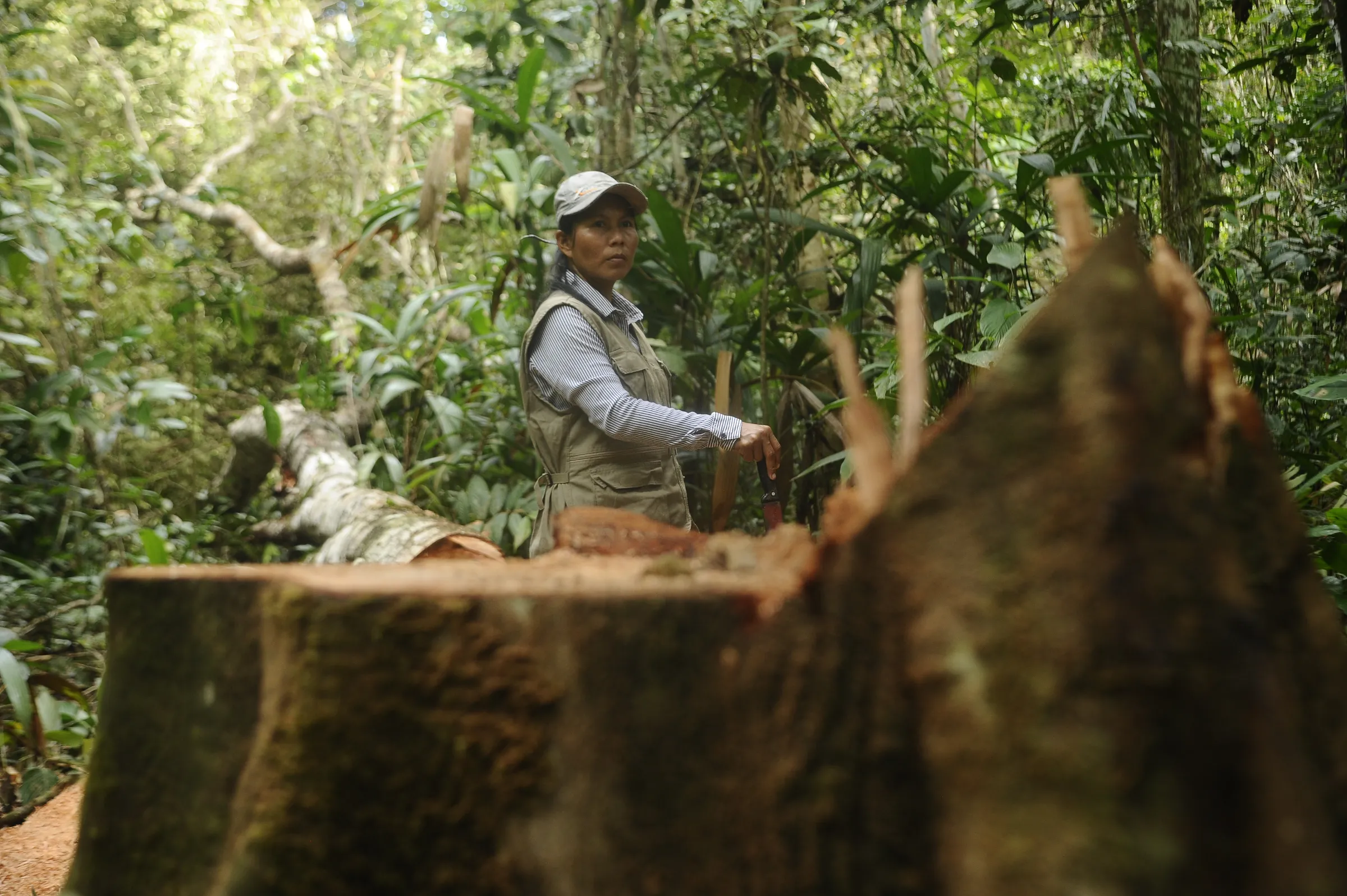 An indigenous woman looks at a felled tree while on patrol in a forest near Flor de Ucayali, Peru