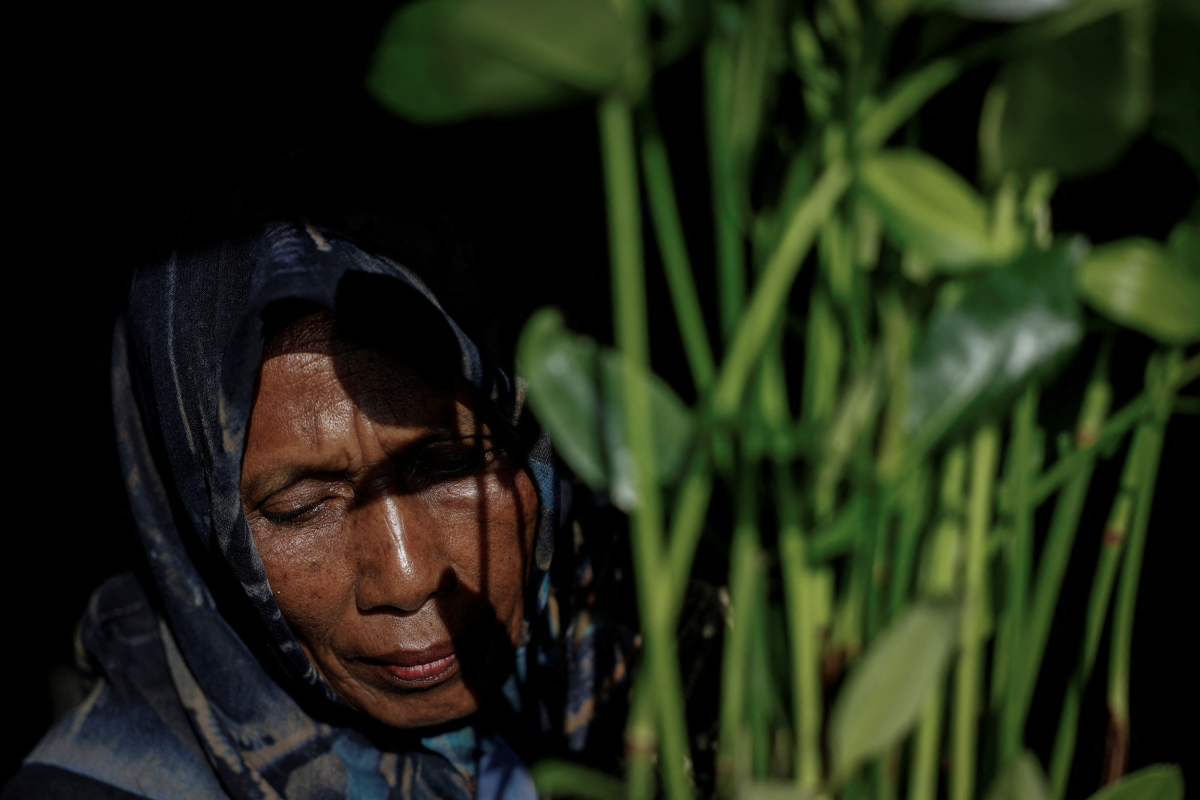 Indonesian islanders plant mangroves, seek justice as seas rise