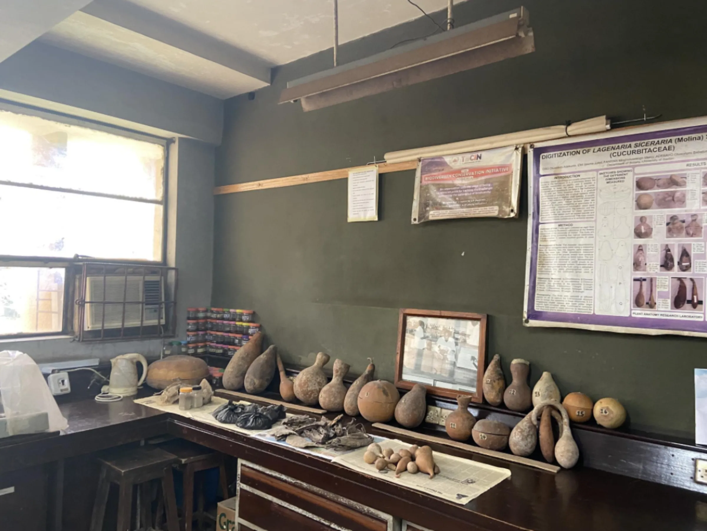 The plant laboratory in the University of Ibadan, Nigeria, September 27, 2022