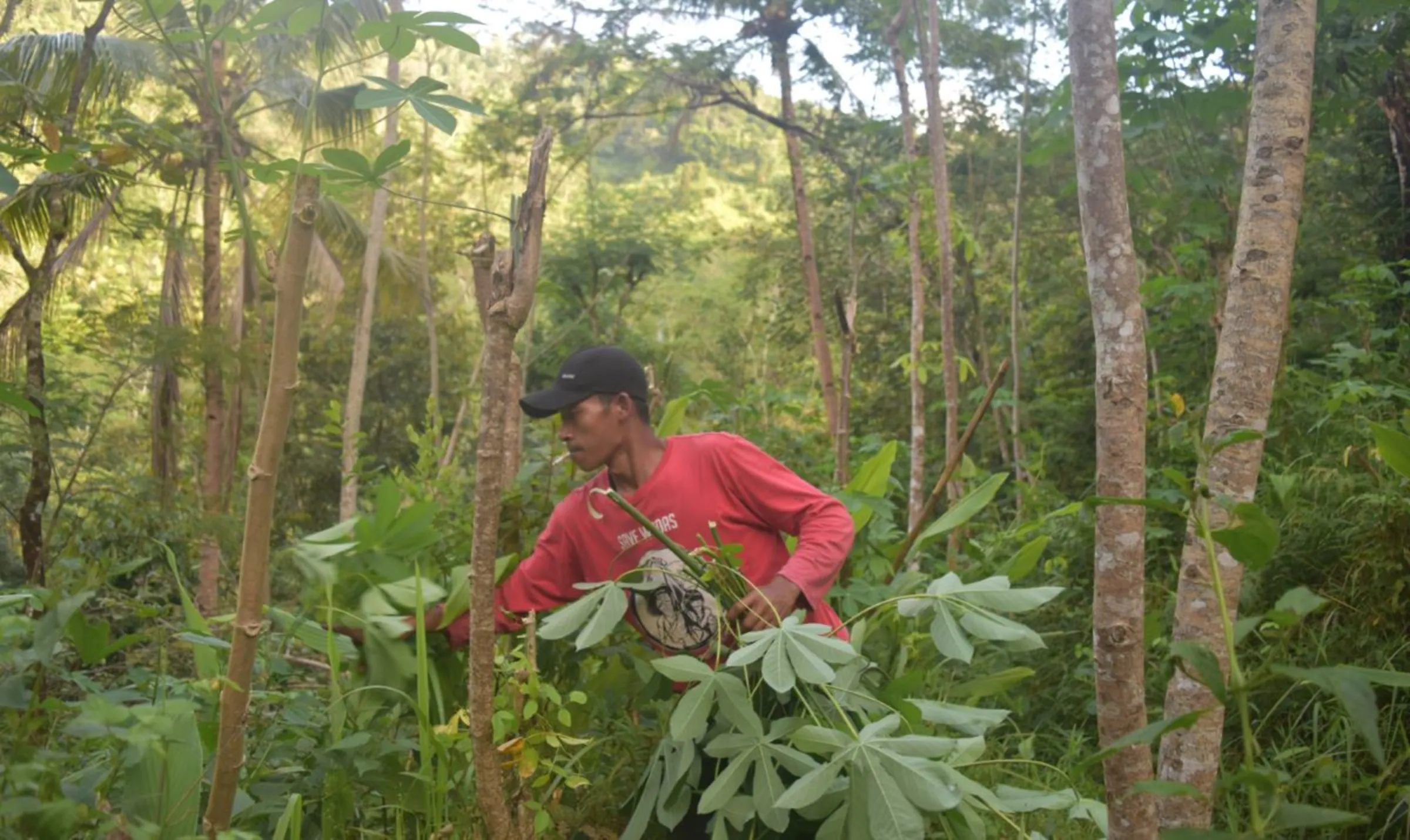 Bodin, 33, a resident of Wadas, looks for grass to feed his livestock in Purworejo Regency, Indonesia, December 19, 2022. Thomson Reuters Foundation/Asad Asnawi.