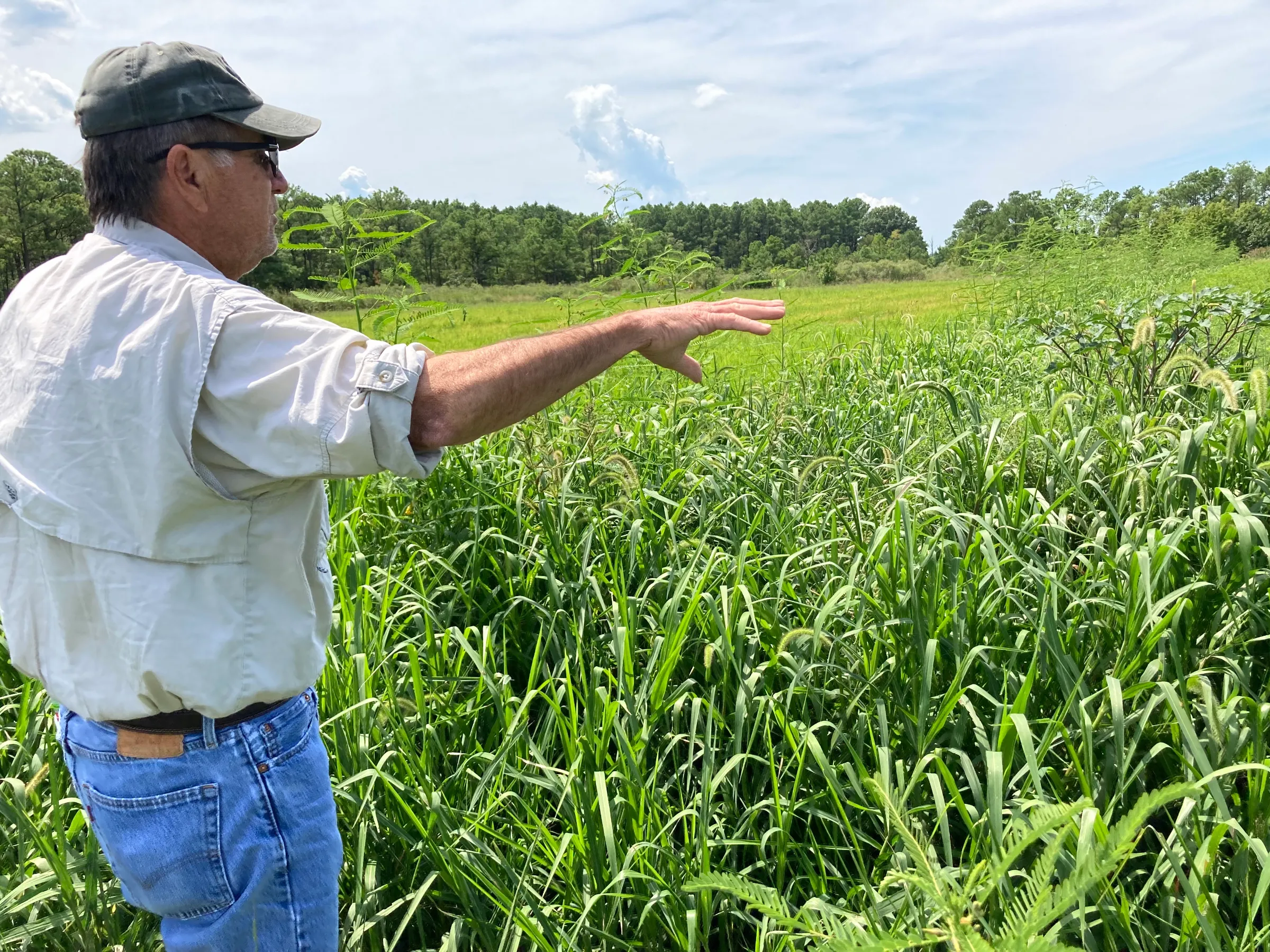 A man shows a berm he created to encircle an agricultural field in Dorchester County, Maryland, threatened by saltwater to create a freshwater marsh, on August 19, 2022. Thomson Reuters Foundation/Carey L. Biron