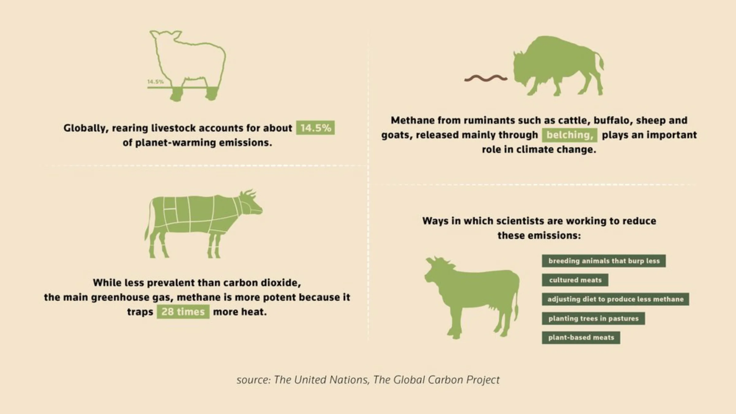 Graph: Meat consumption and it's climate impact