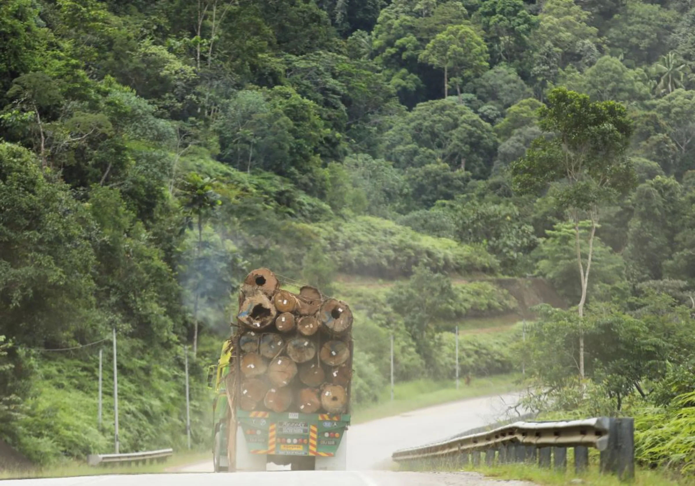 A trailer transports timber from the logging area in Hulu Terengganu, Terengganu, Malaysia May 30, 2022. Picture taken May 30, 2022