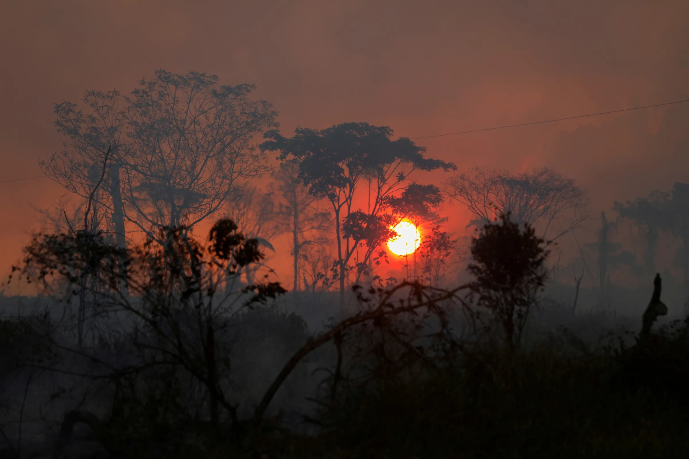 A view shows a deforested plot of Brazilian Amazon rainforest near the Transamazonica national highway, in Apui, Amazonas state, Brazil, September 6, 2021. REUTERS/Bruno Kelly