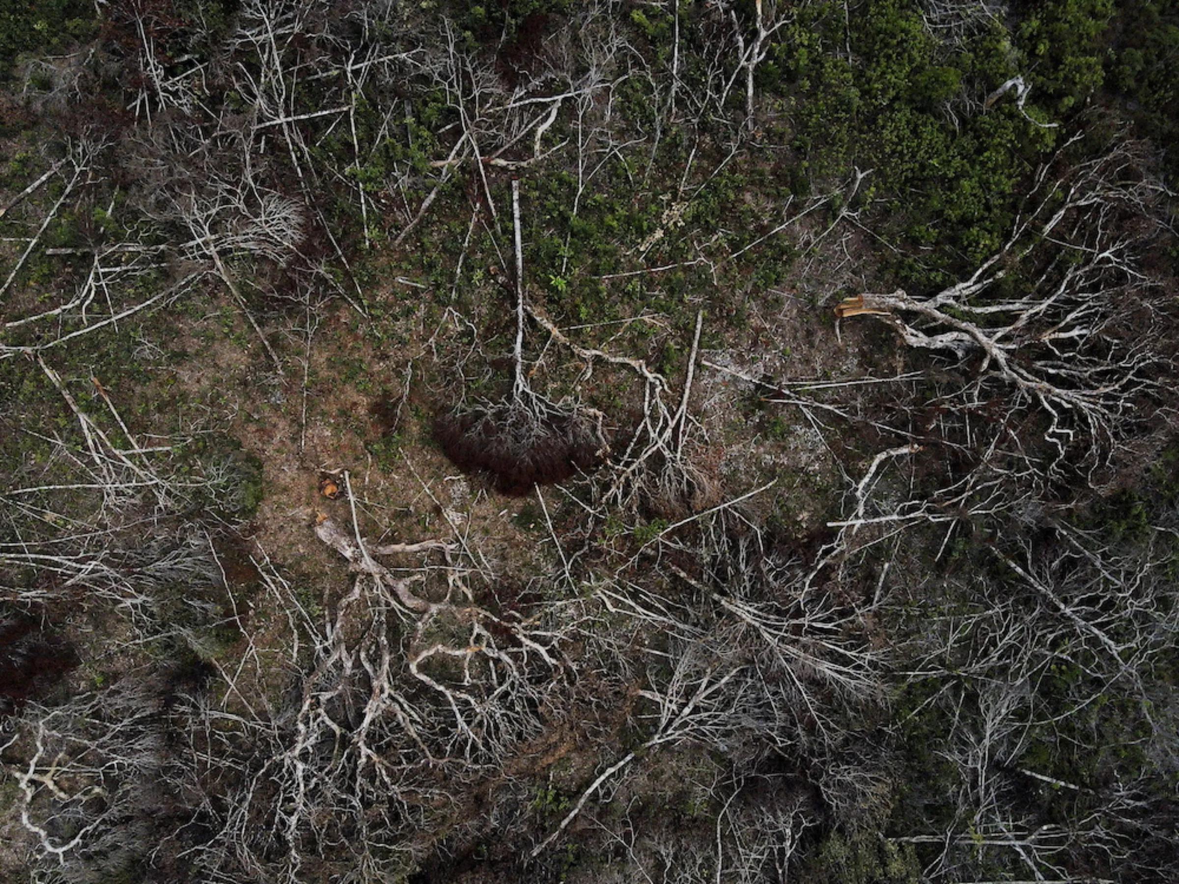 An aerial view shows a deforested plot of the Amazon rainforest in Manaus, Amazonas State, Brazil July 8, 2022