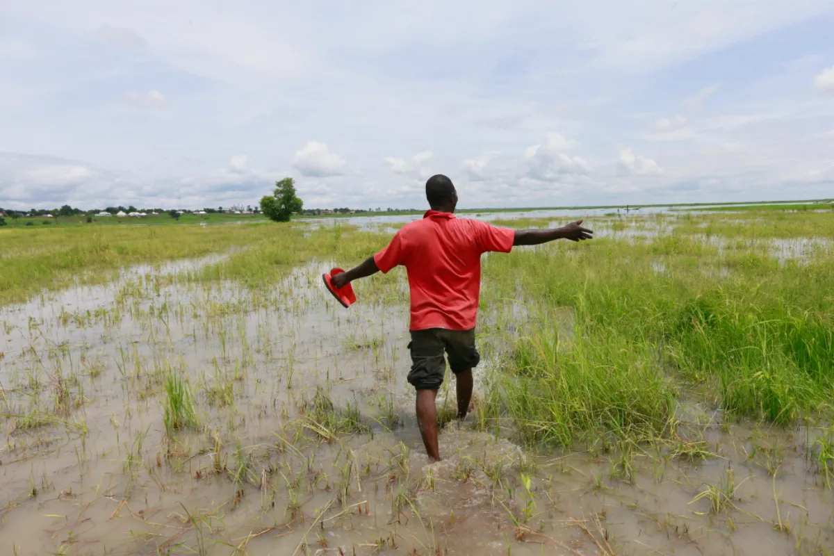 Rice farmer Danjuma Okuwa surveys several hectares of his paddy fields lost to flooding in Rukubi, Nasarawa, Nigeria, September 27, 2022. Thomson Reuters Foundation/Afolabi Sotunde