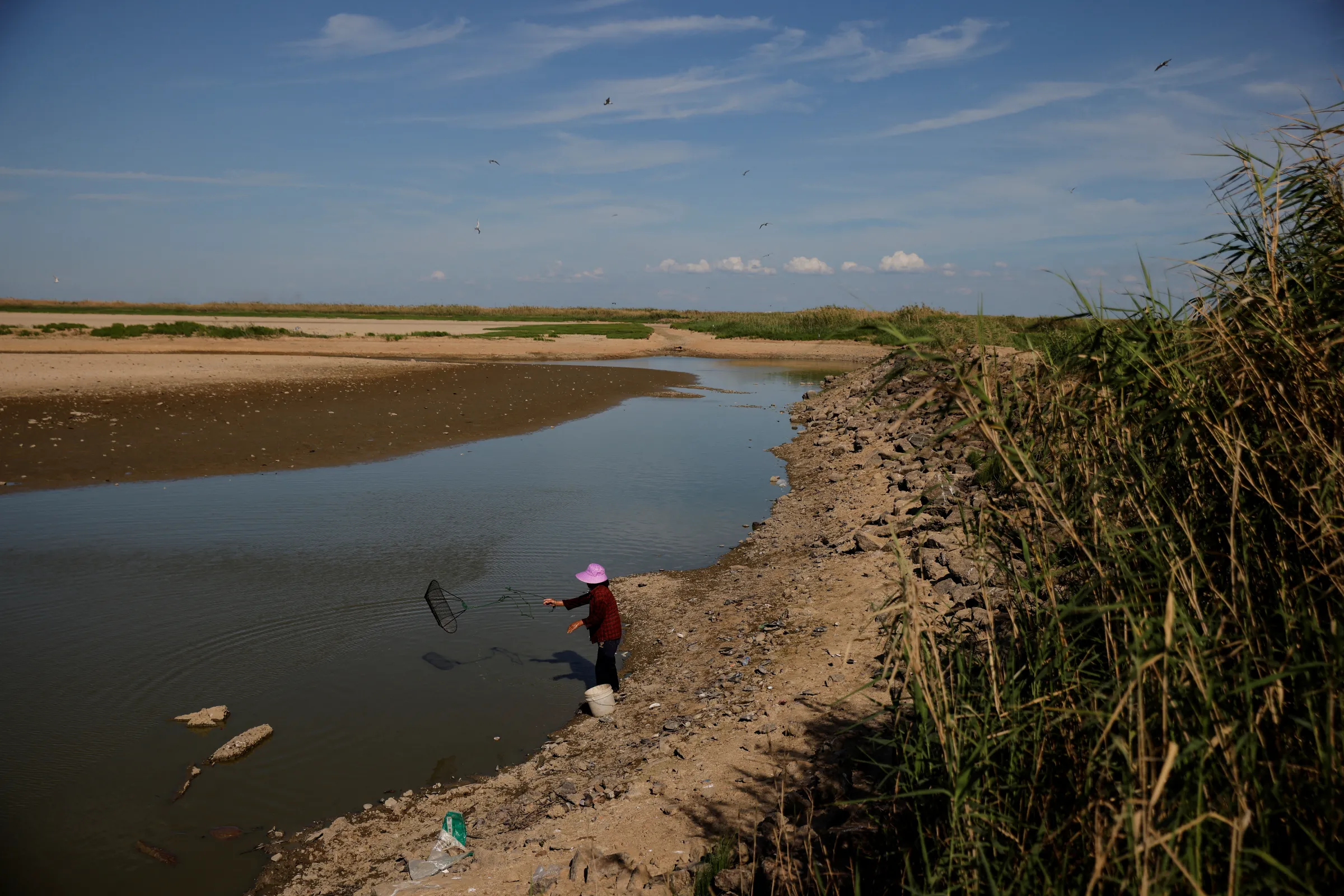 Local villager throws a cage to catch fish in a pool of water left by Poyang Lake that shows record-low water levels as the region experiences a drought outside Nanchang, Jiangxi province, China, August 26, 2022