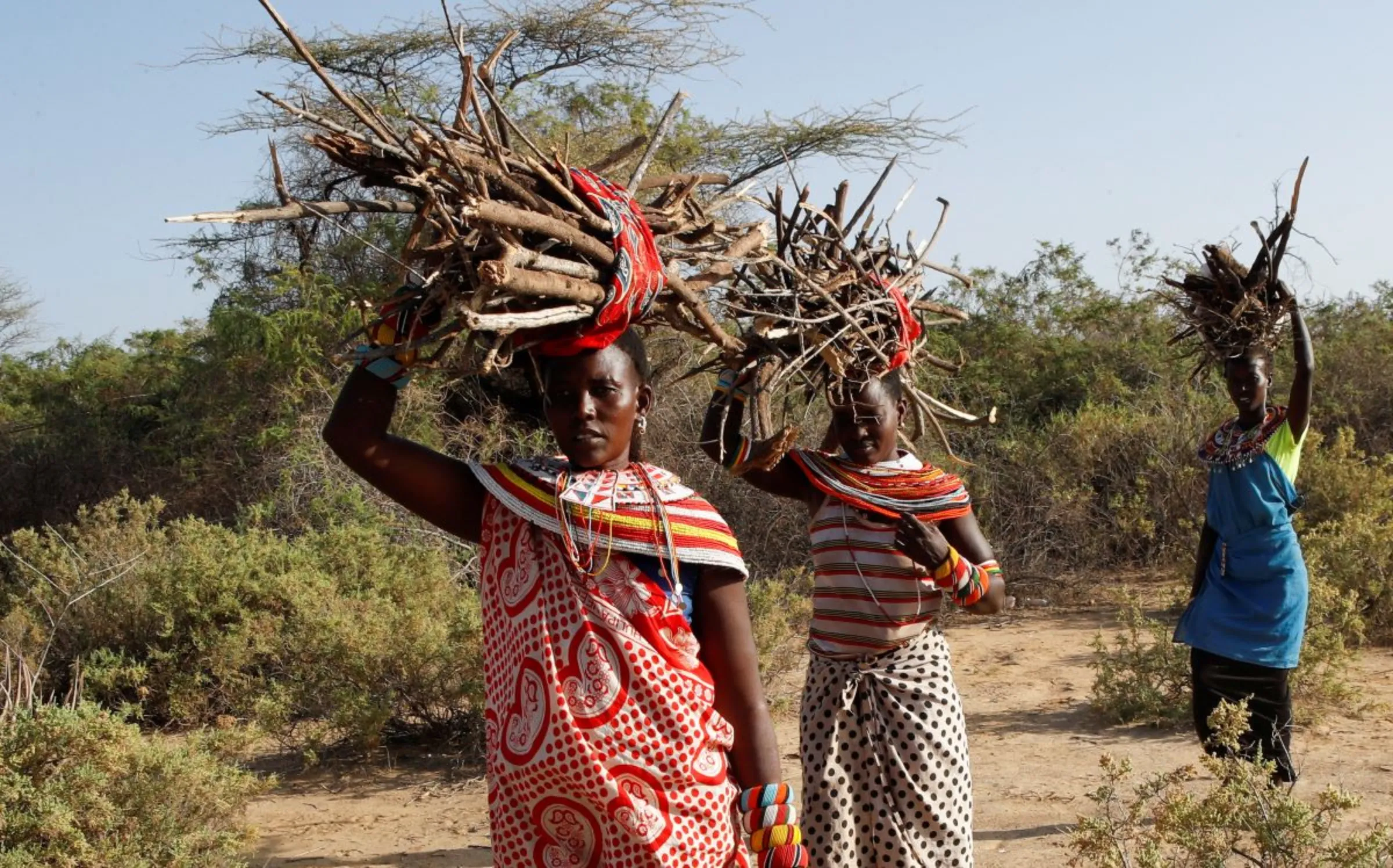 Women from the Samburu tribe carry firewood on their heads to be used as fuel at the Umoja village, in Samburu near Archers Post in the northern Samburu County, Kenya, February 7, 2023