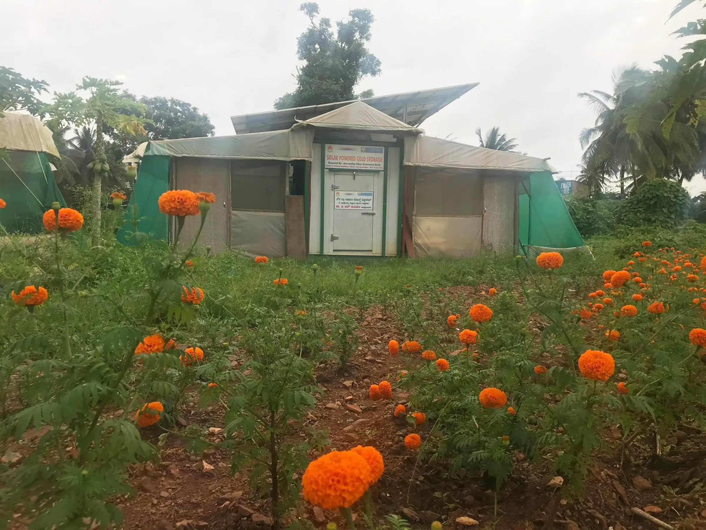 Close view of a solar powered cold storage unit installed in the midst of fields cultivating marigold  and vegetables in Karnataka, India, November 15, 2022