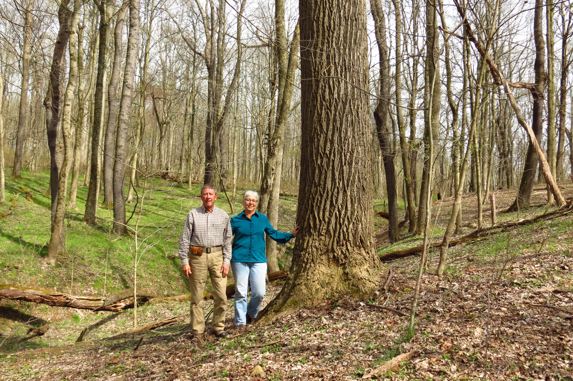 Two people stand beside a tree in a forest